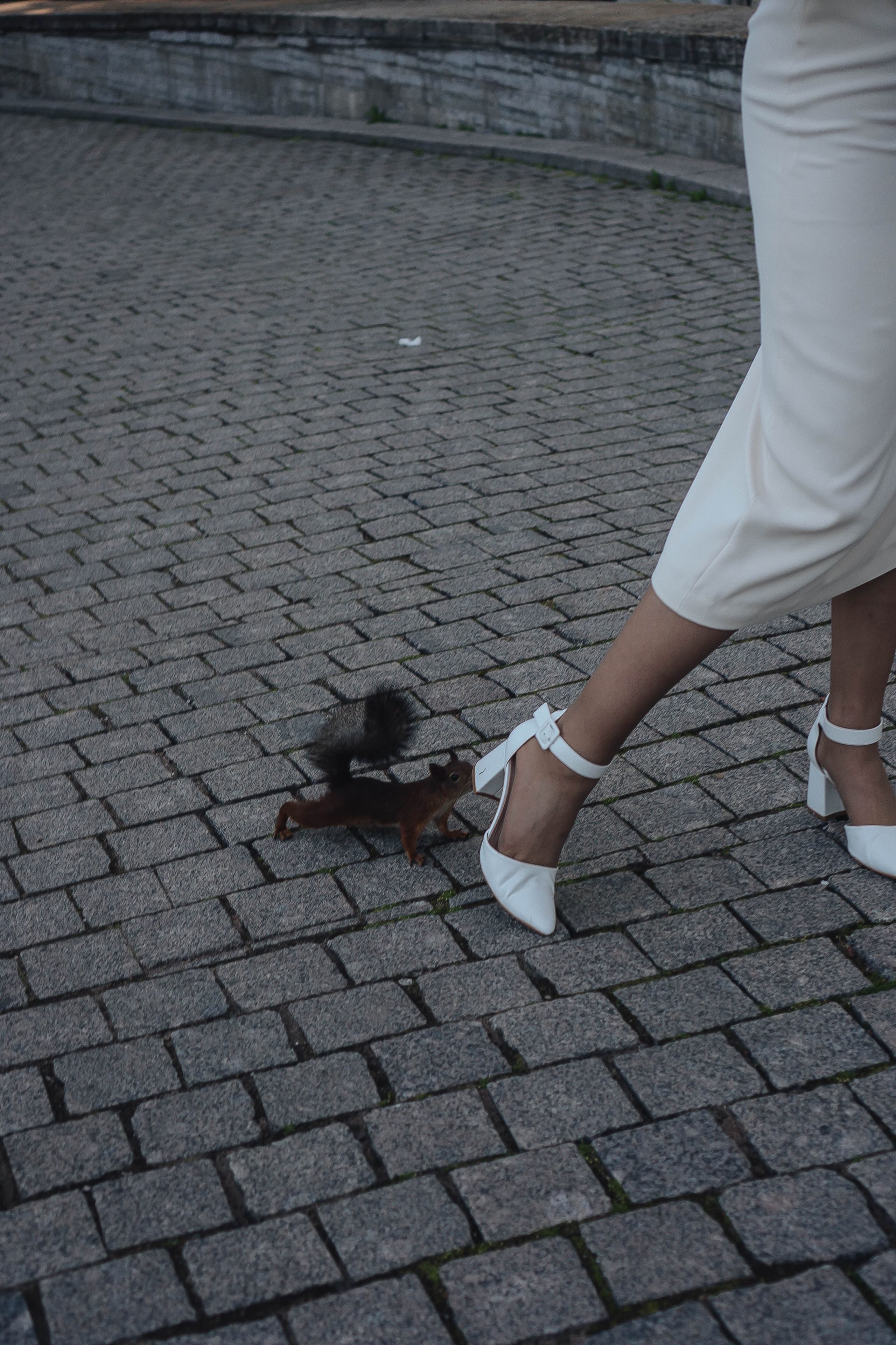 СВАДЕБНАЯ СЬЕМКА НА РАССВЕТЕ НА ЕЛАГИНОМ ОСТОРОВЕ. Профессиональный фотограф, Санкт-Петербург — Виктория Богомолова