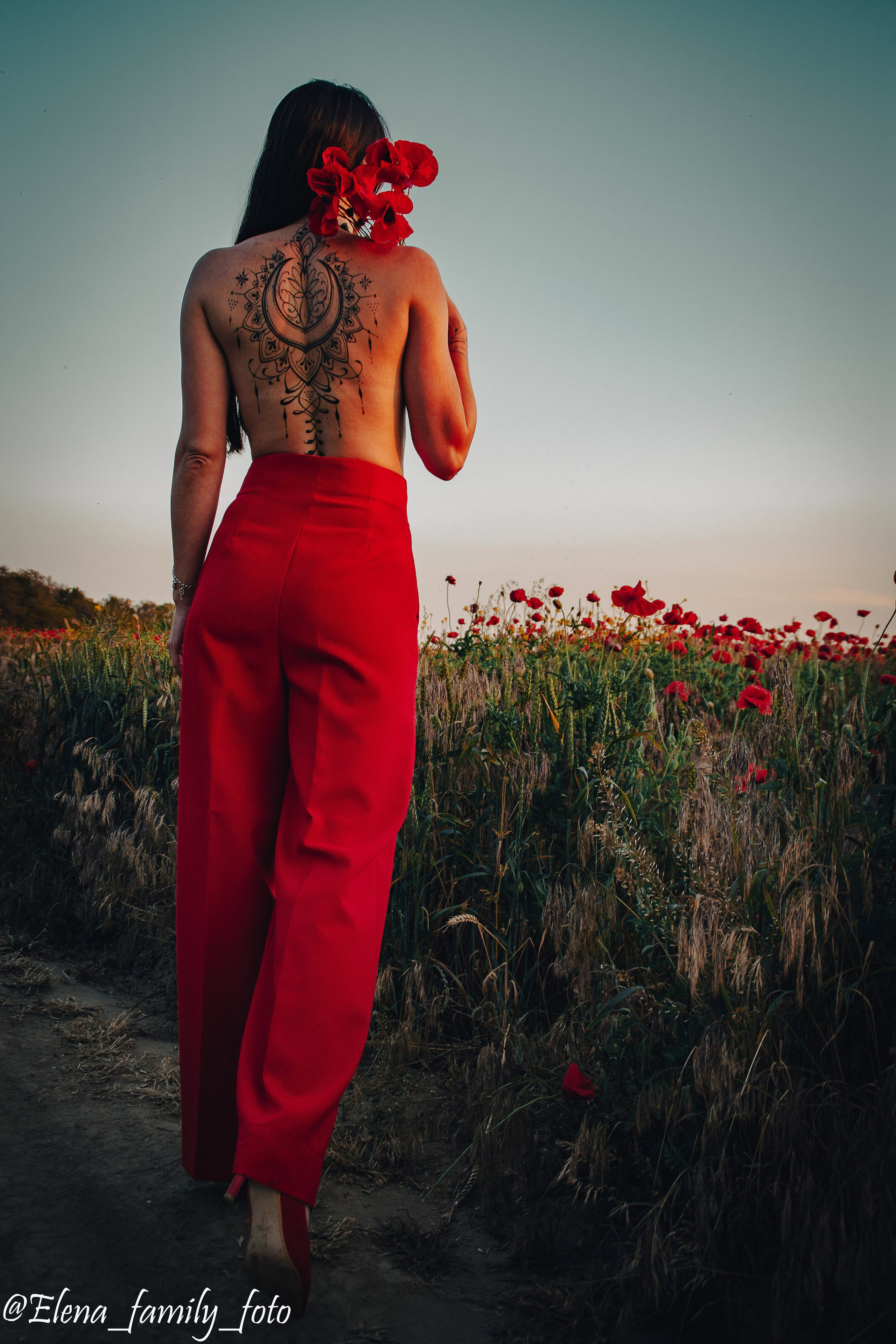 Фотосессия в поле маков. Елена Волкова семейный фотограф в станице Гостагаевской города-курорта Анапа