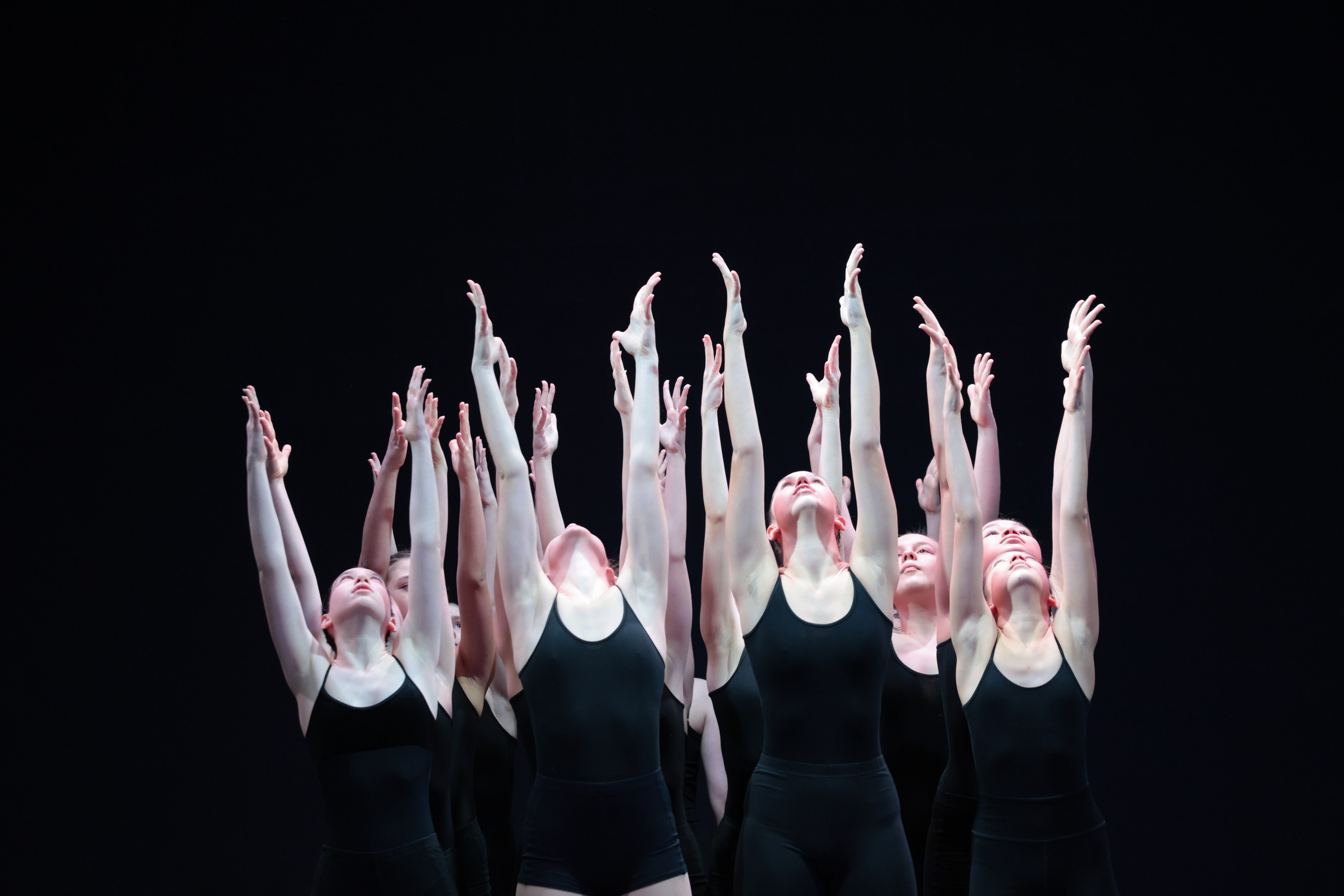 Концертные программы. Серия 54