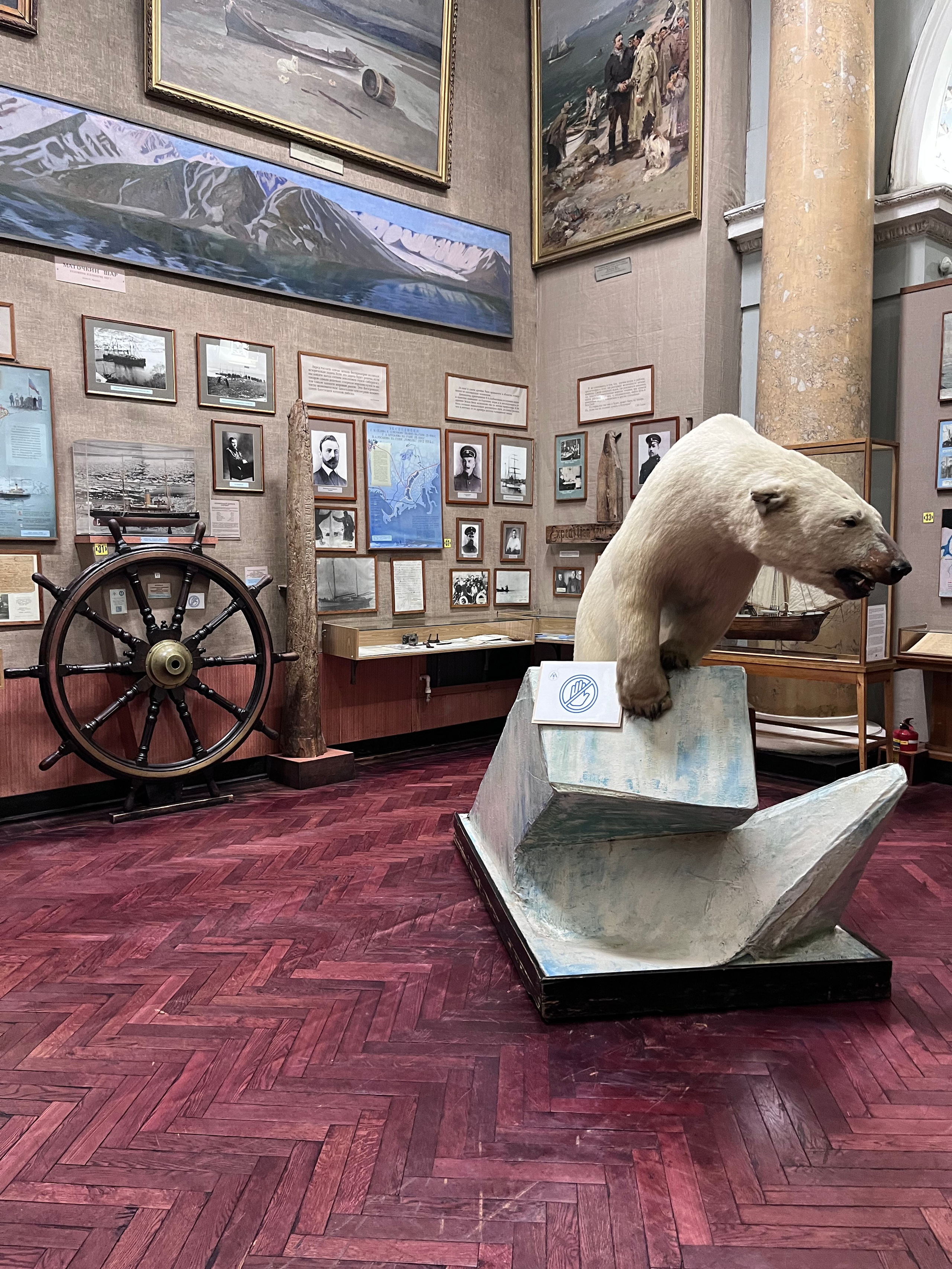 2025 г. Музей Арктики и Антарктики (г. Санкт-Петербург). Ефремова Ольга. Художник