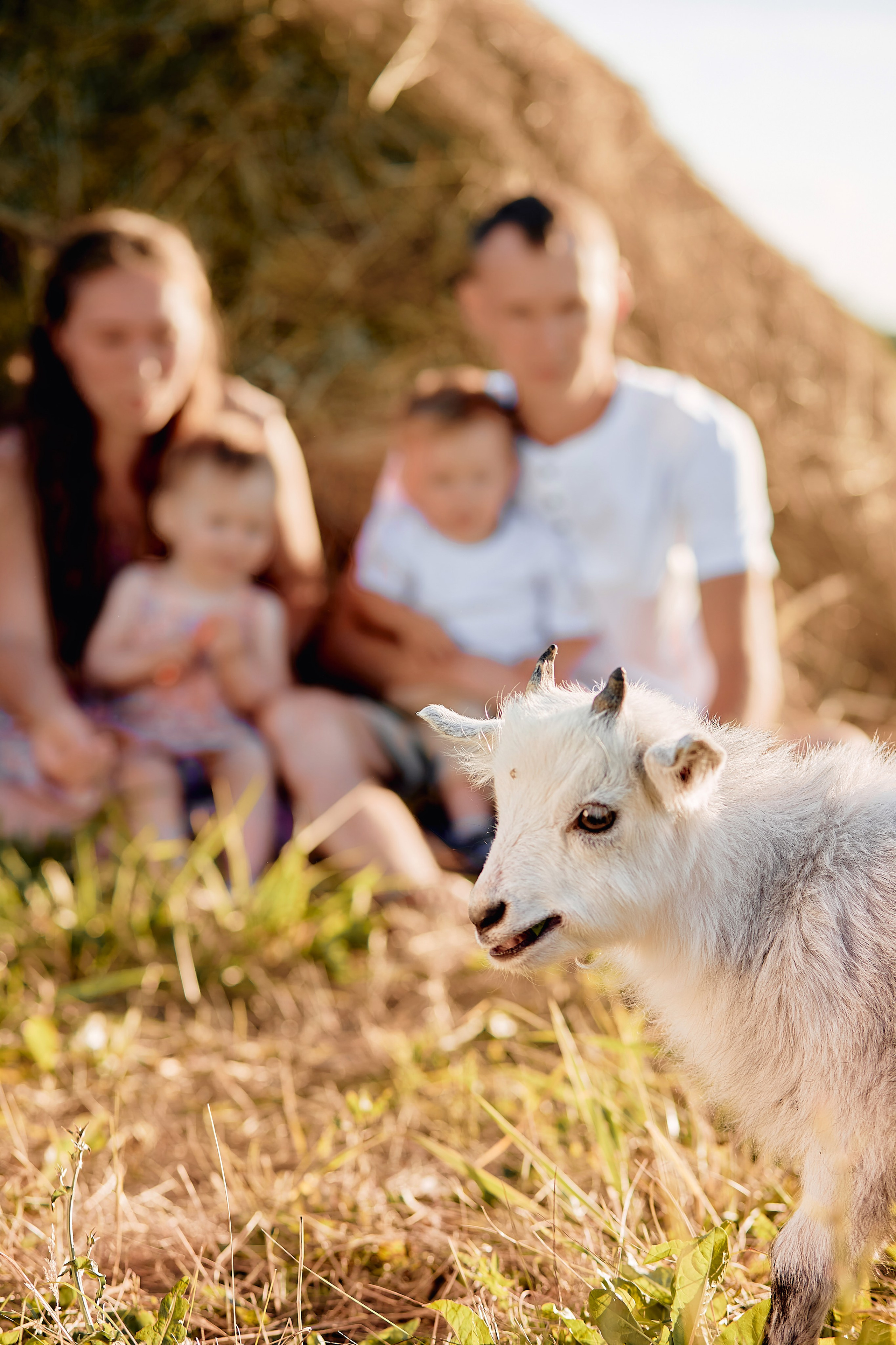Андрей, Катя, Дима и Настя. Свадебный фотограф Чайковский