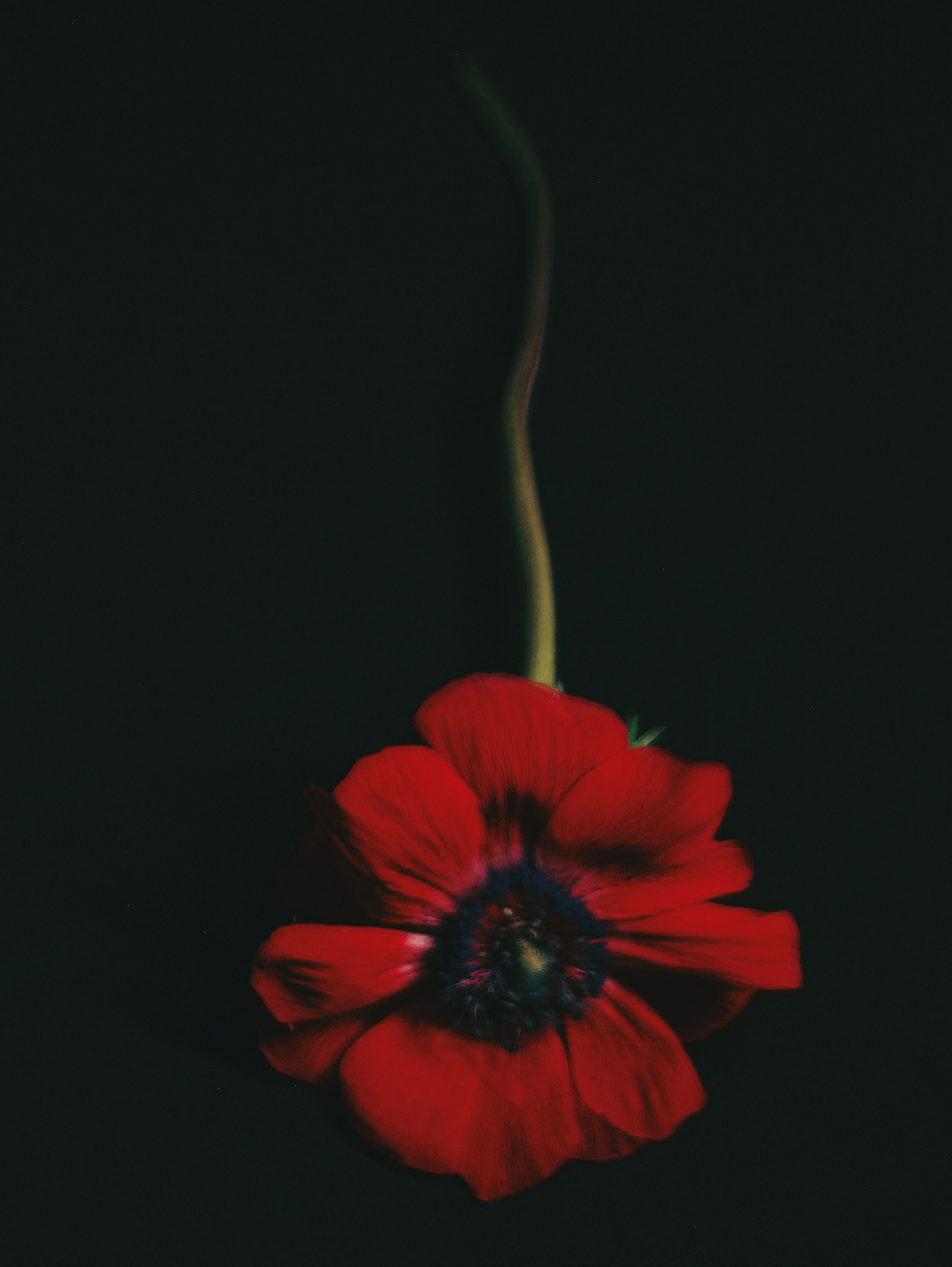 Природа &. Фотохудожник в СПб