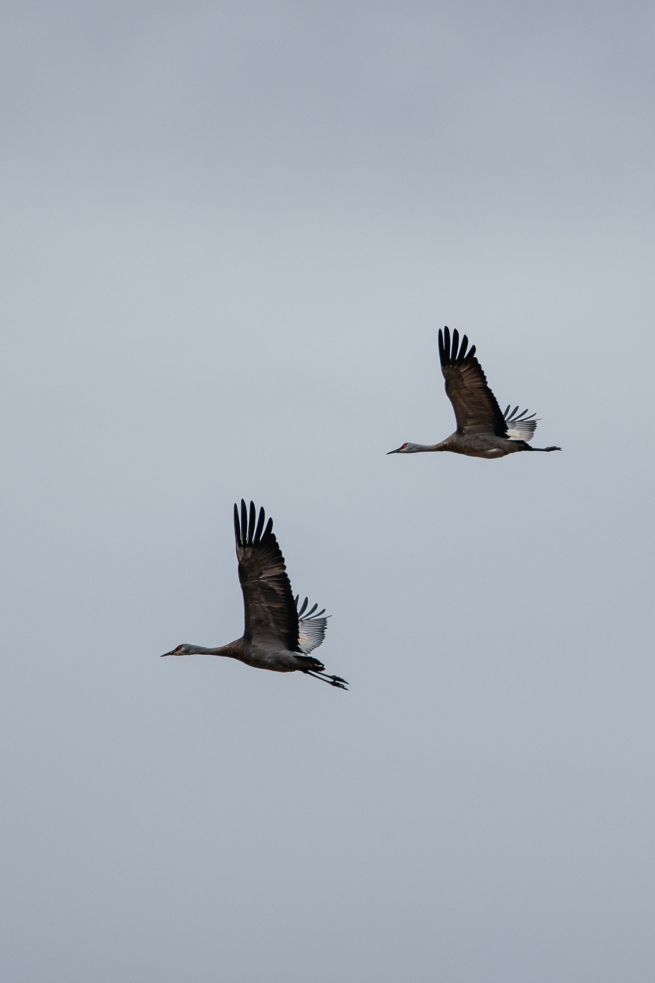 ПЕЙЗАЖ И ЛЮДИ. Саргылана Афанасьева