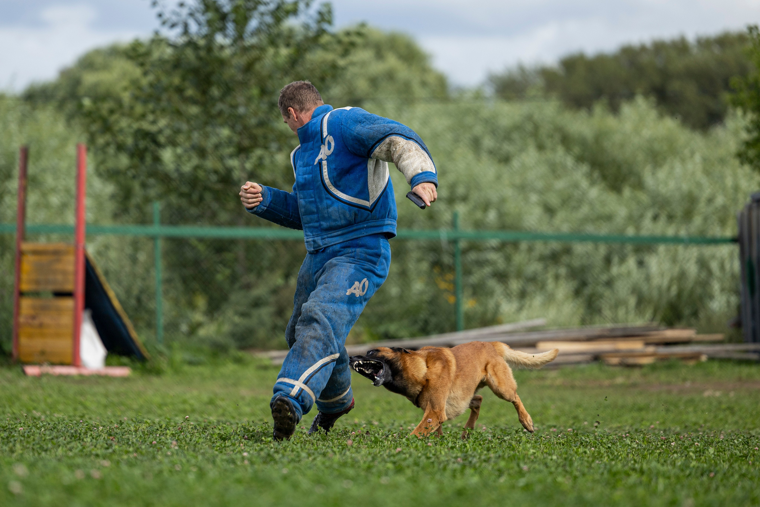 Соревнования по Мондьорингу г. Вологда 10-11.08.2024. Фотограф-анималист Анна Маринич