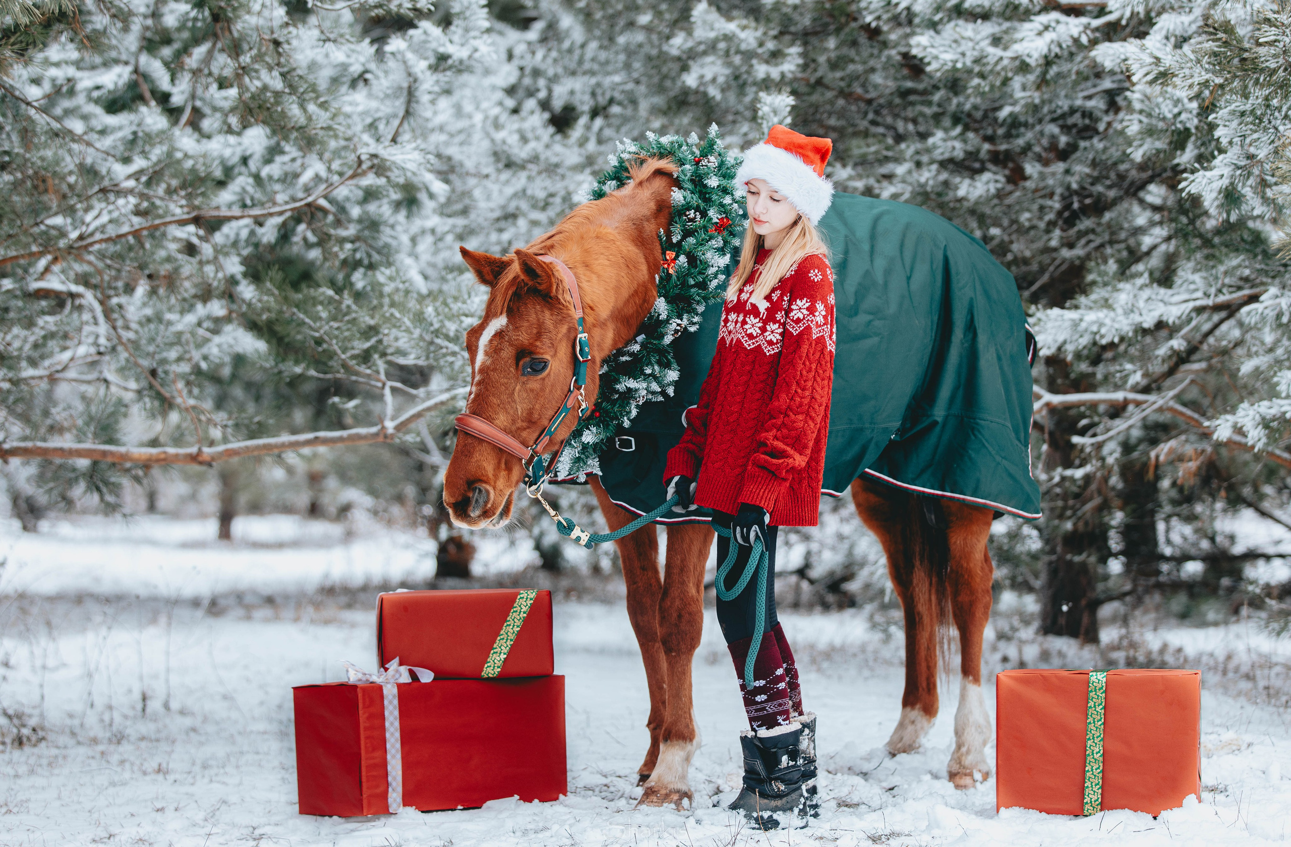 Фото день в ЧК «Орлёнок» — Новый год. Главная