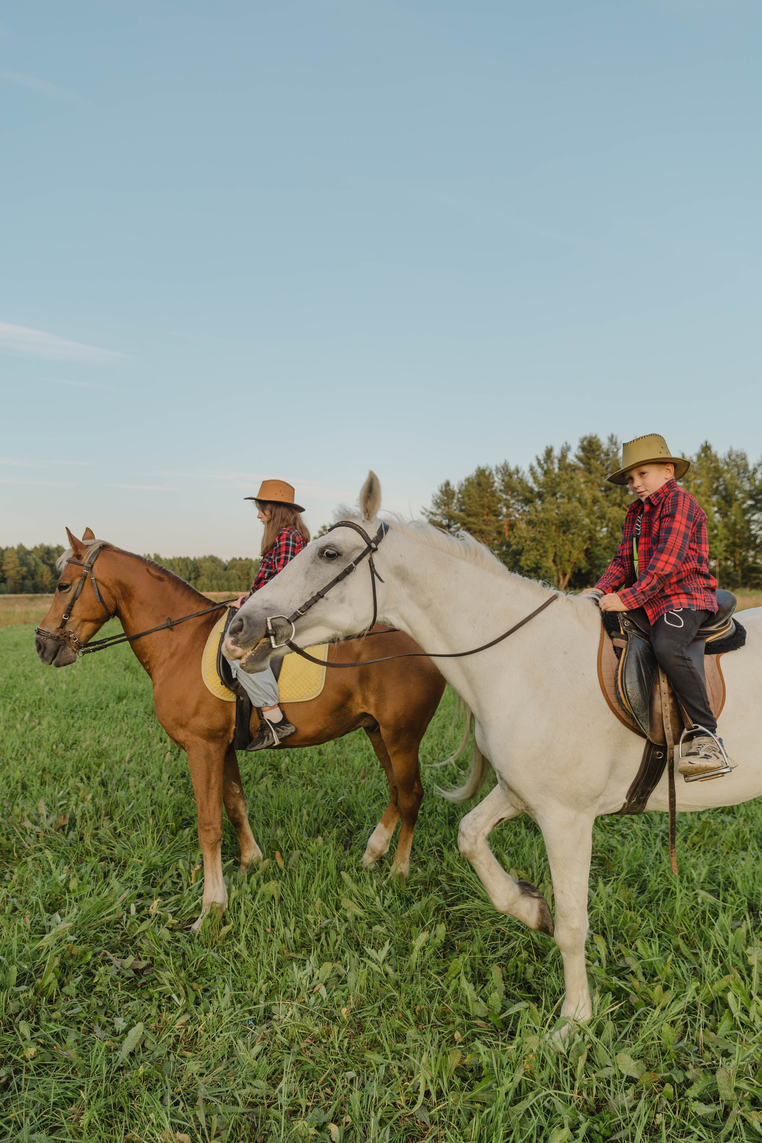 Тёплый вечер лета. Свадебный и семейный фотограф в Карелии