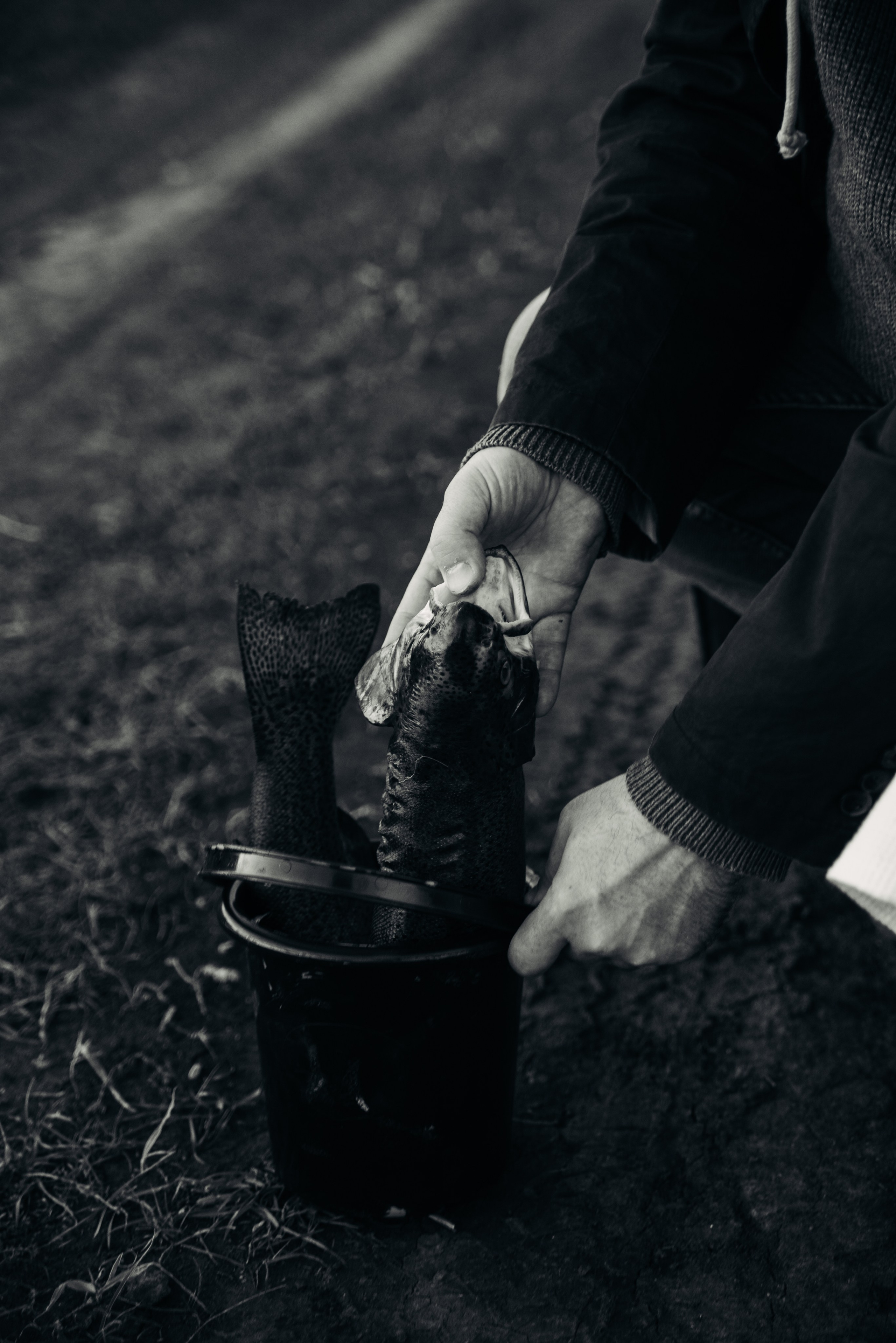 Человек и Рыба. Главная