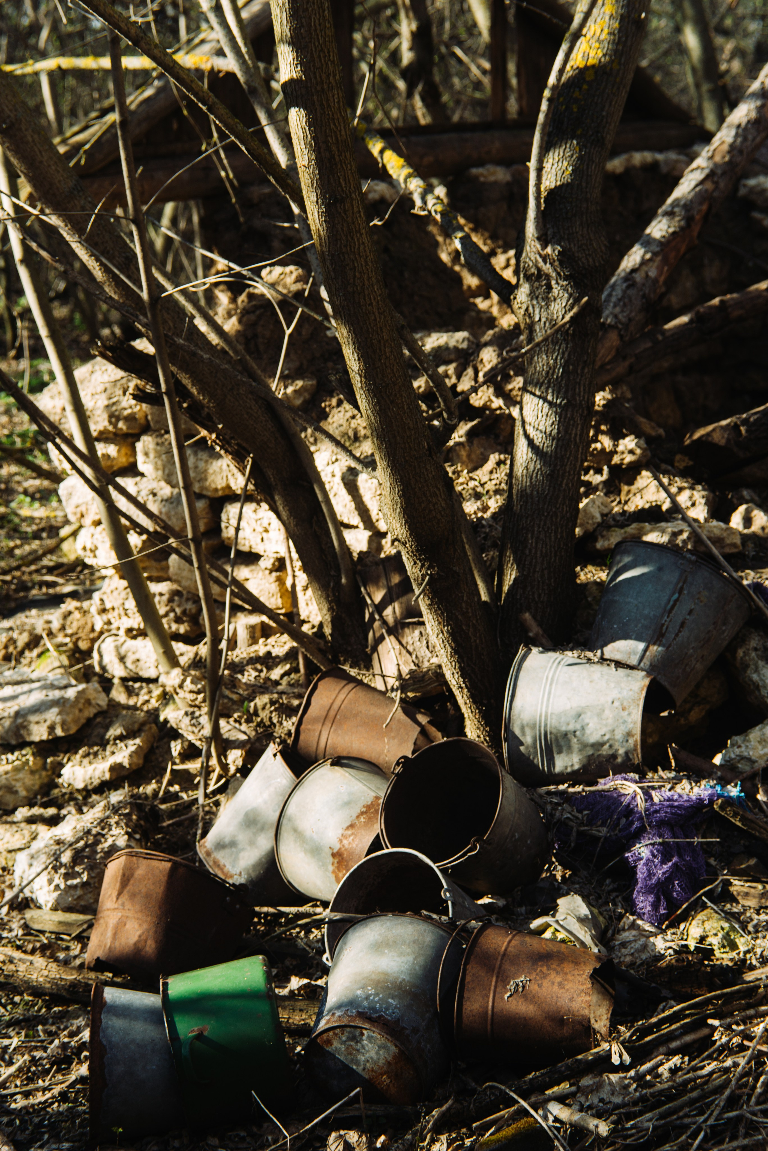 Орановка. Репортажный и портретный фотограф в Липецкой, Воронежской, Московской области Тёма Белоусов