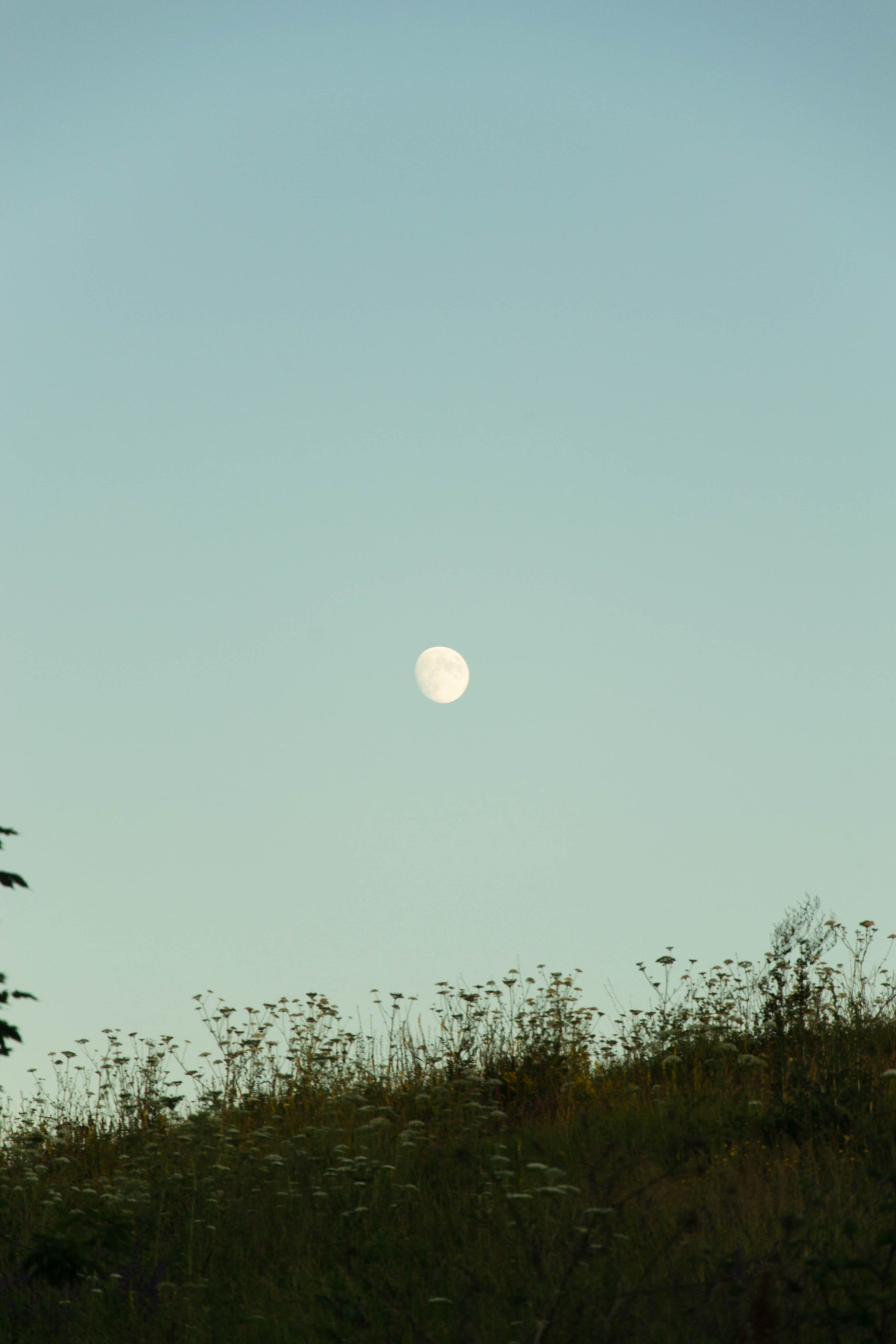 Дон. Главная