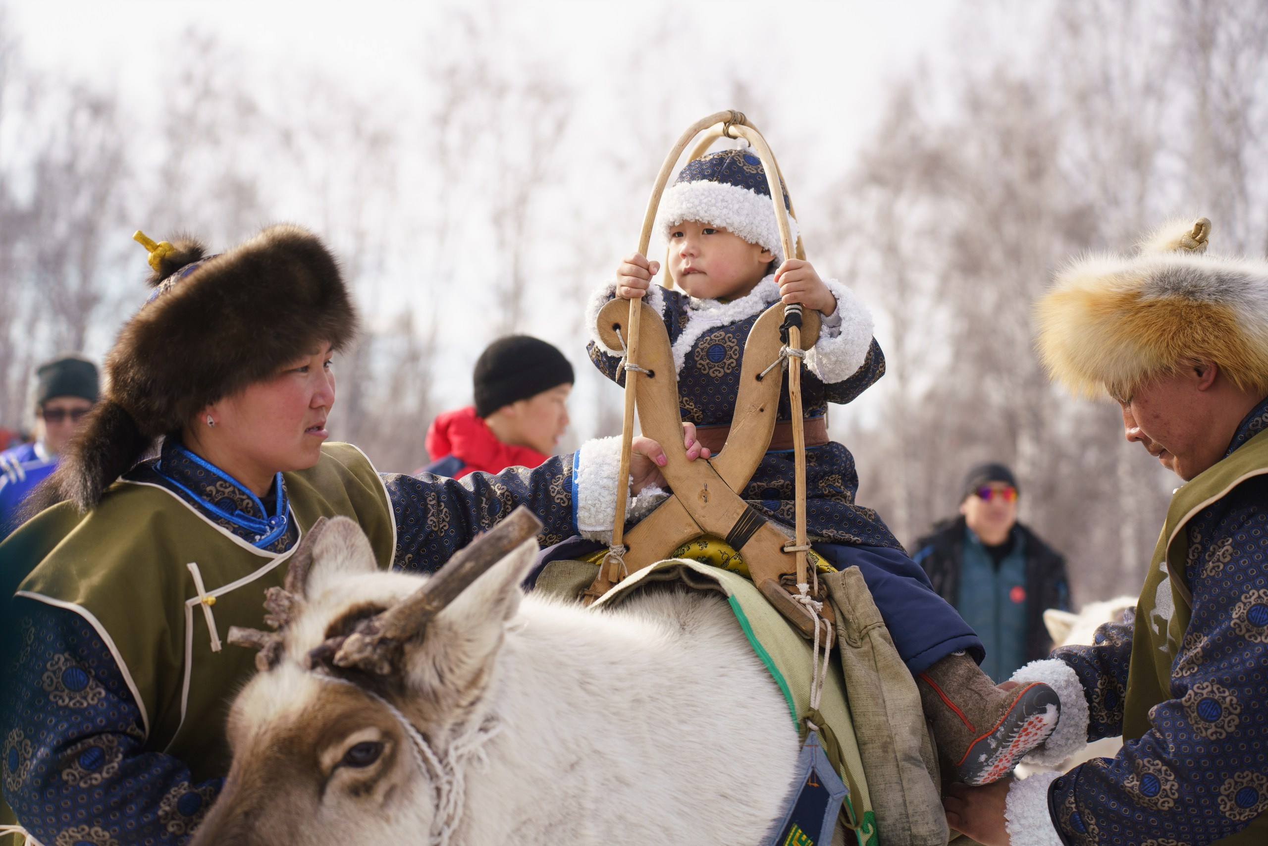 В олене жизнь. Фотограф в Красноярске Нерозя Александр. Пейзаж, природа, портрет