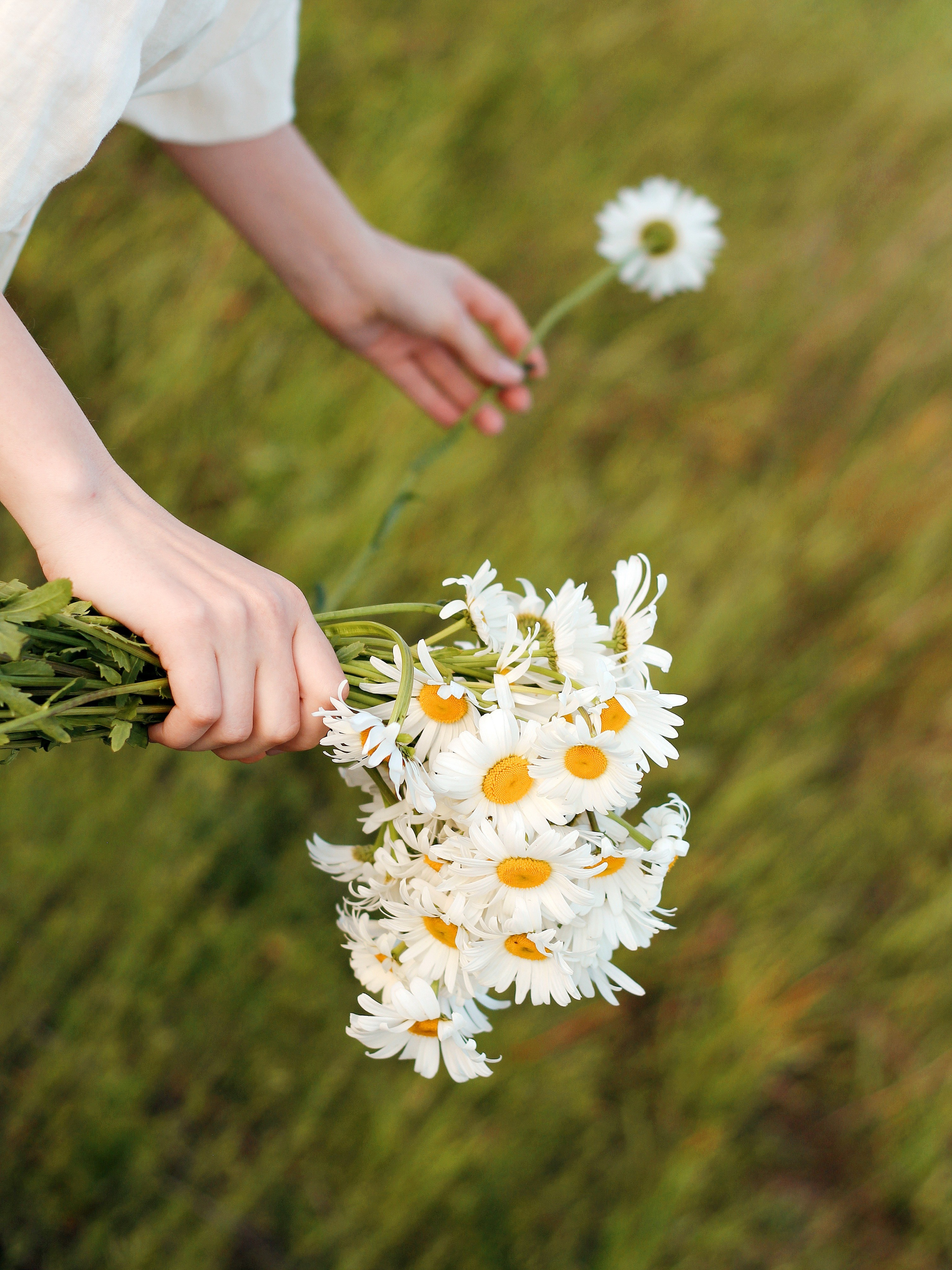 Летнее сияние. Photography Eva