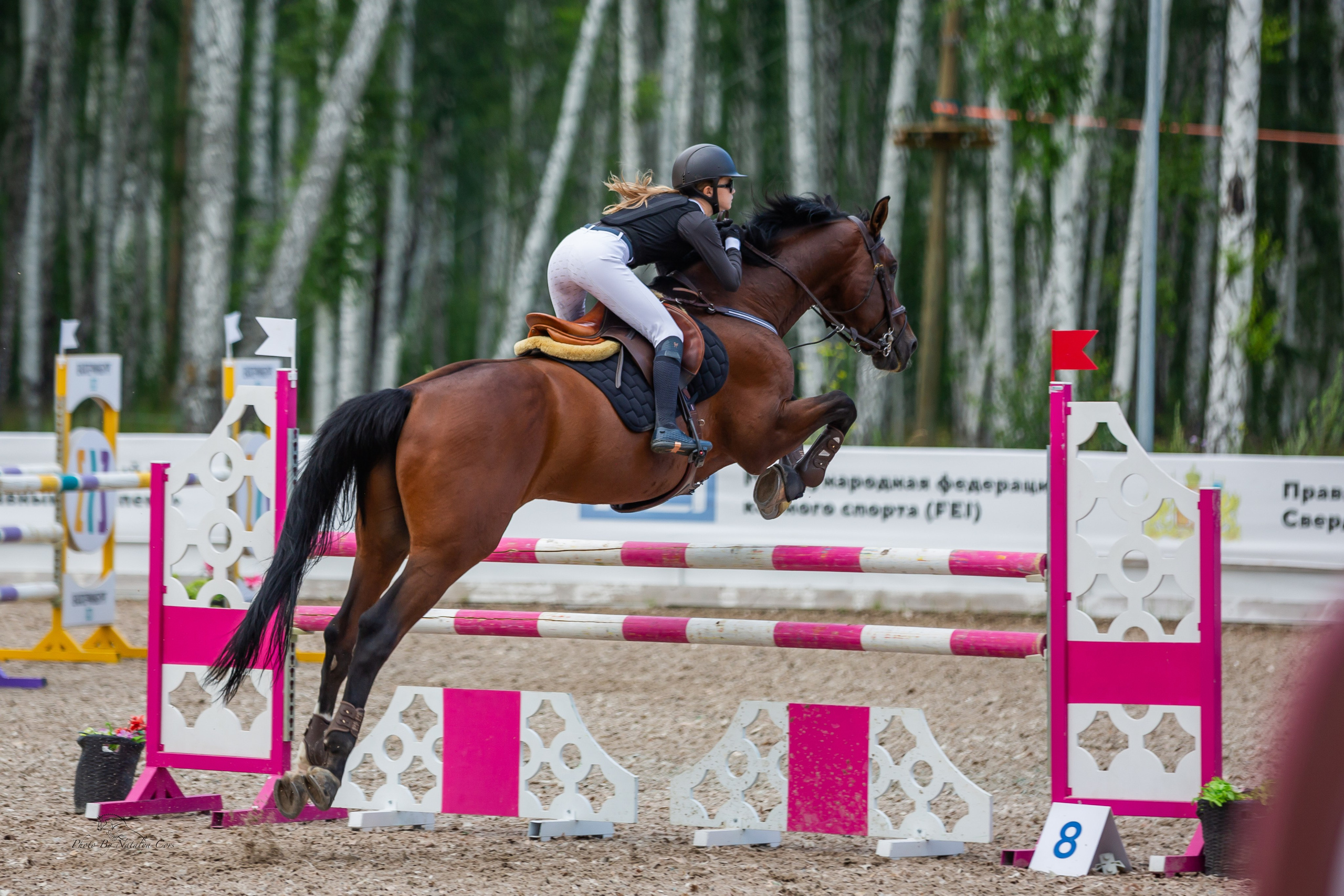 турнирный конный фотограф Екатеринбург, фото с соревнований КСК Дубрава, конный фотограф Екатеринбург, конкур, соревнования по конному спорту, Фотограф анималист Екатеринбург