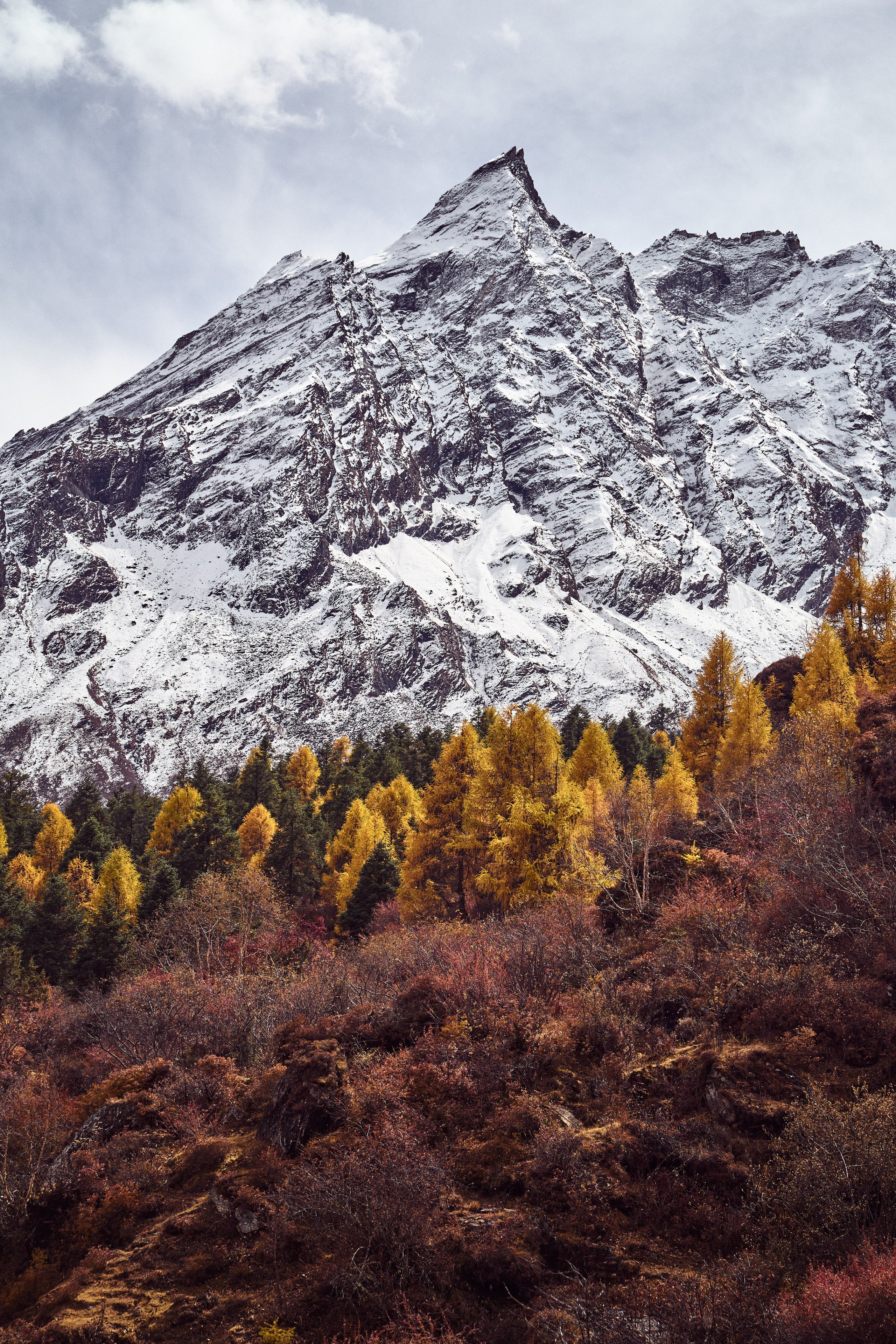 Непал. Фото
