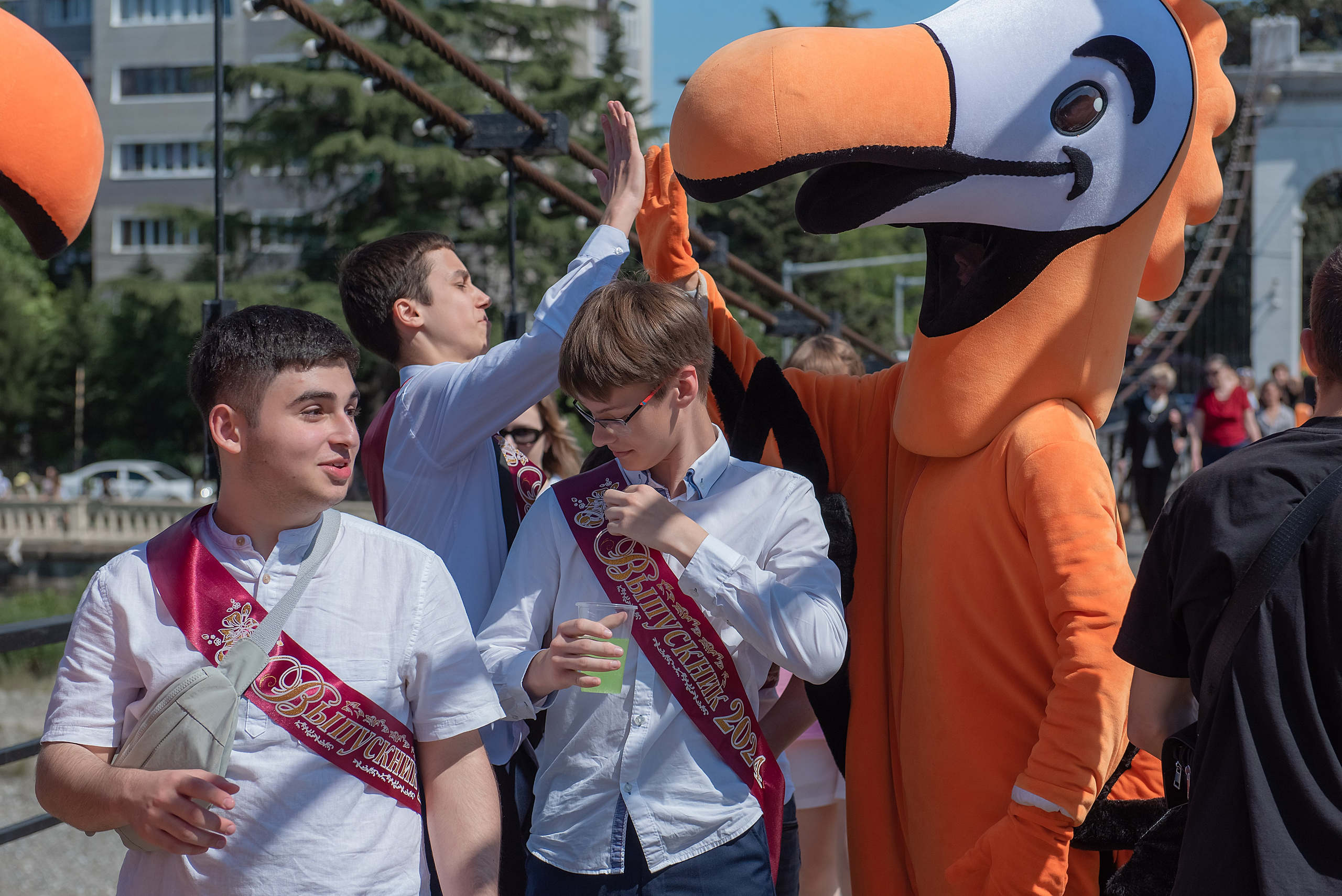 ДоДо промо-акция. Семейный и коммерческий фотограф в Сочи Александр Бодунов