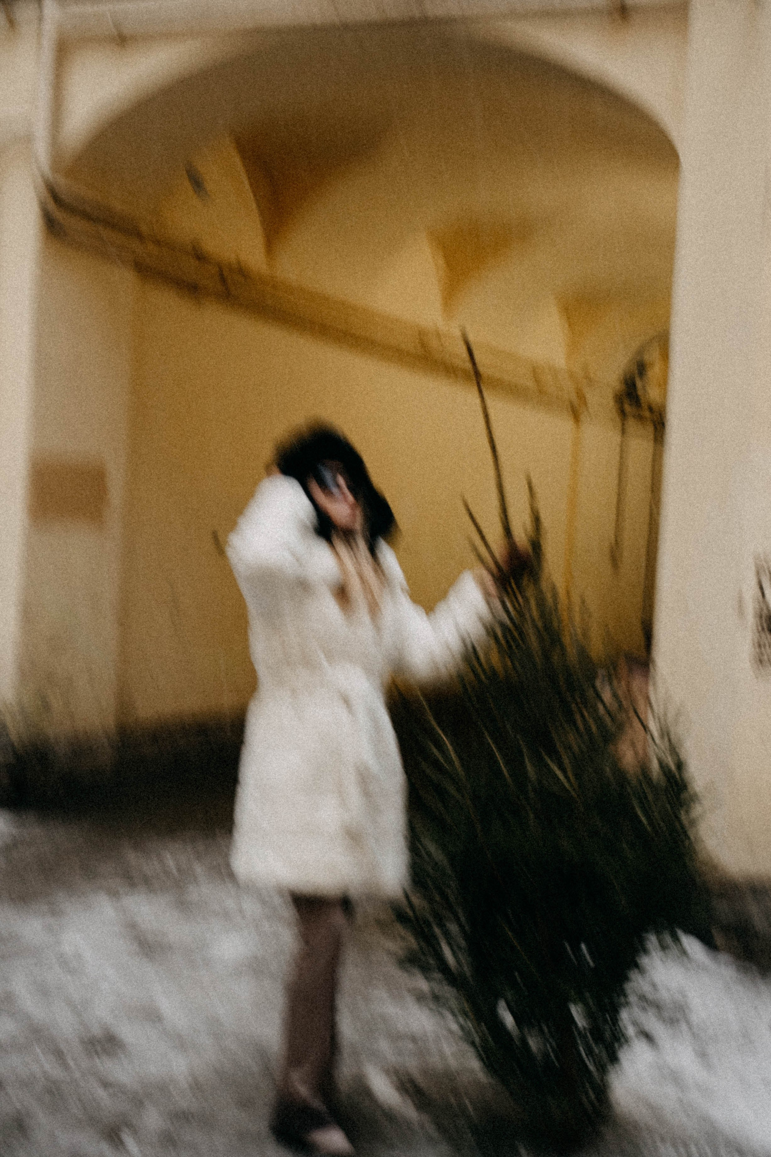 Новогодняя. Профессиональный фотограф, Санкт-Петербург — Виктория Богомолова