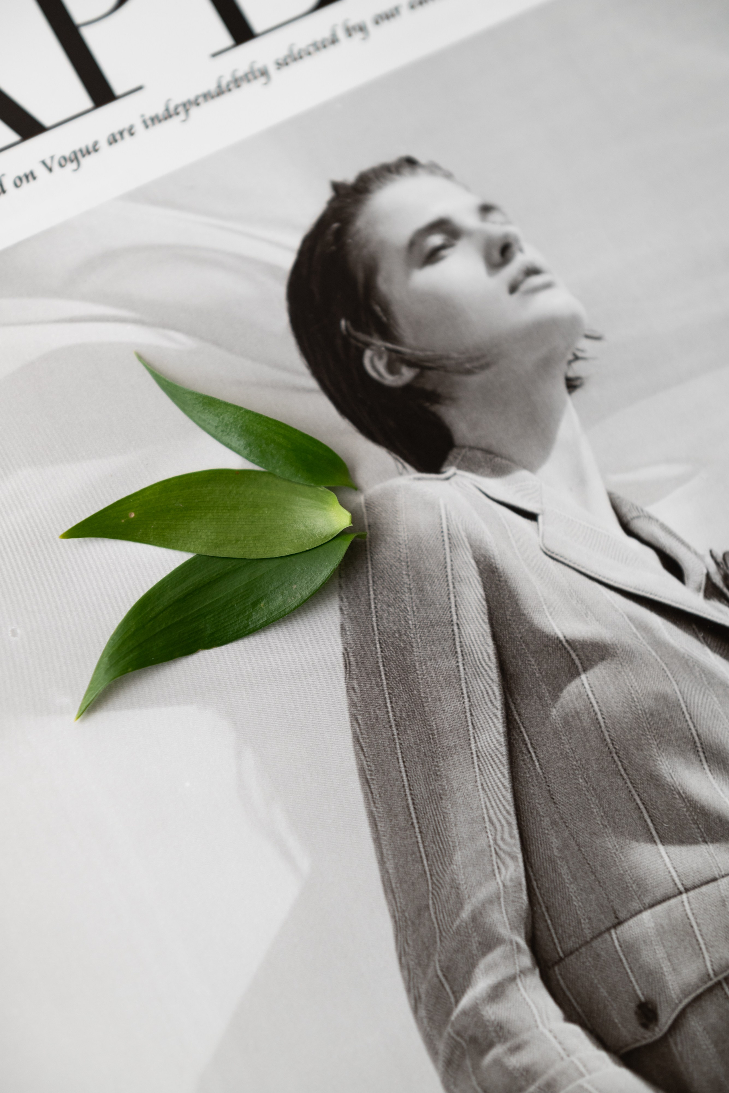 Салон красоты «Лайм». Фотограф Москва Настя Профотовна. Репортажные, свадебные и контент фотосессии