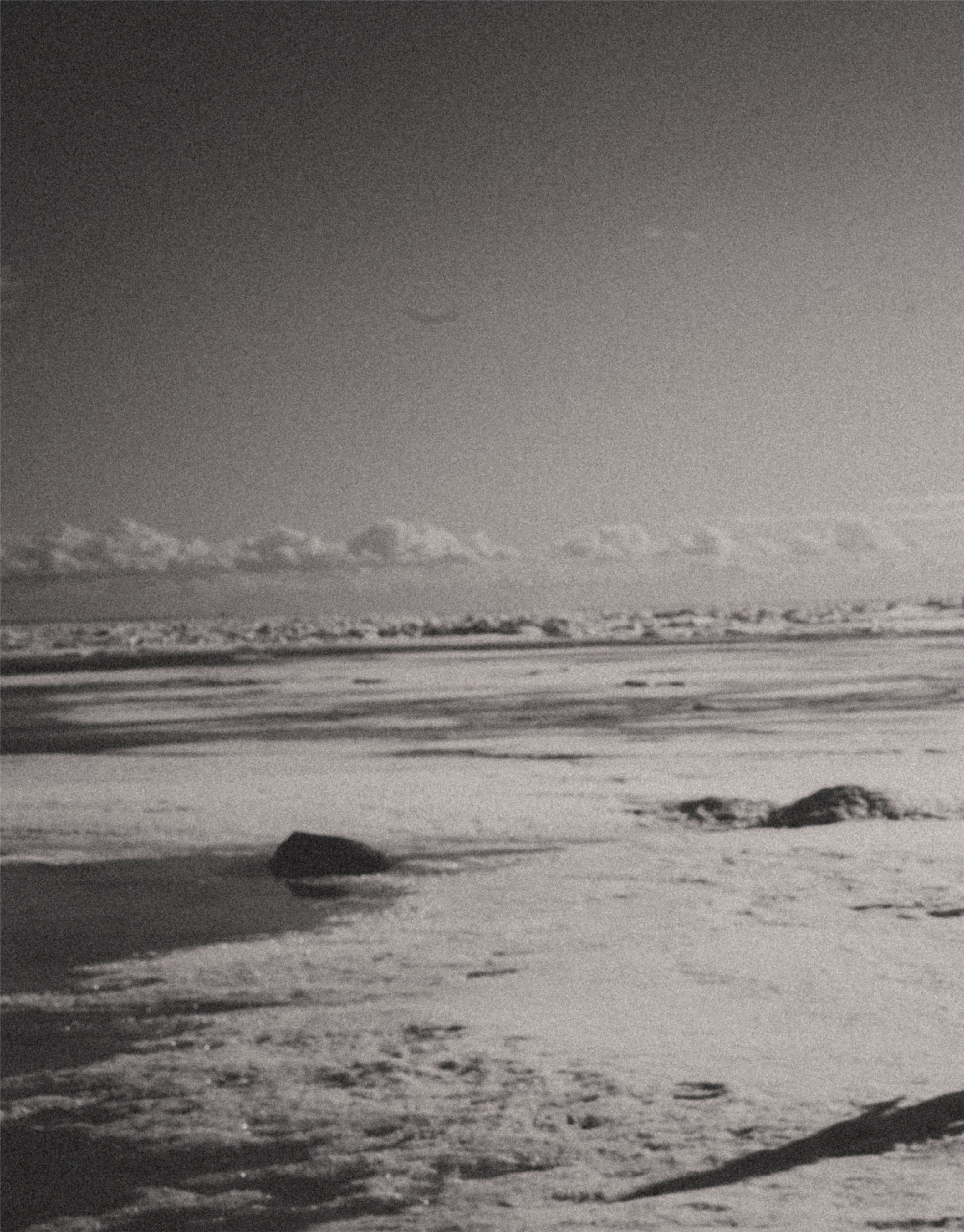 MAS Productions. Фотограф Александра Степанова