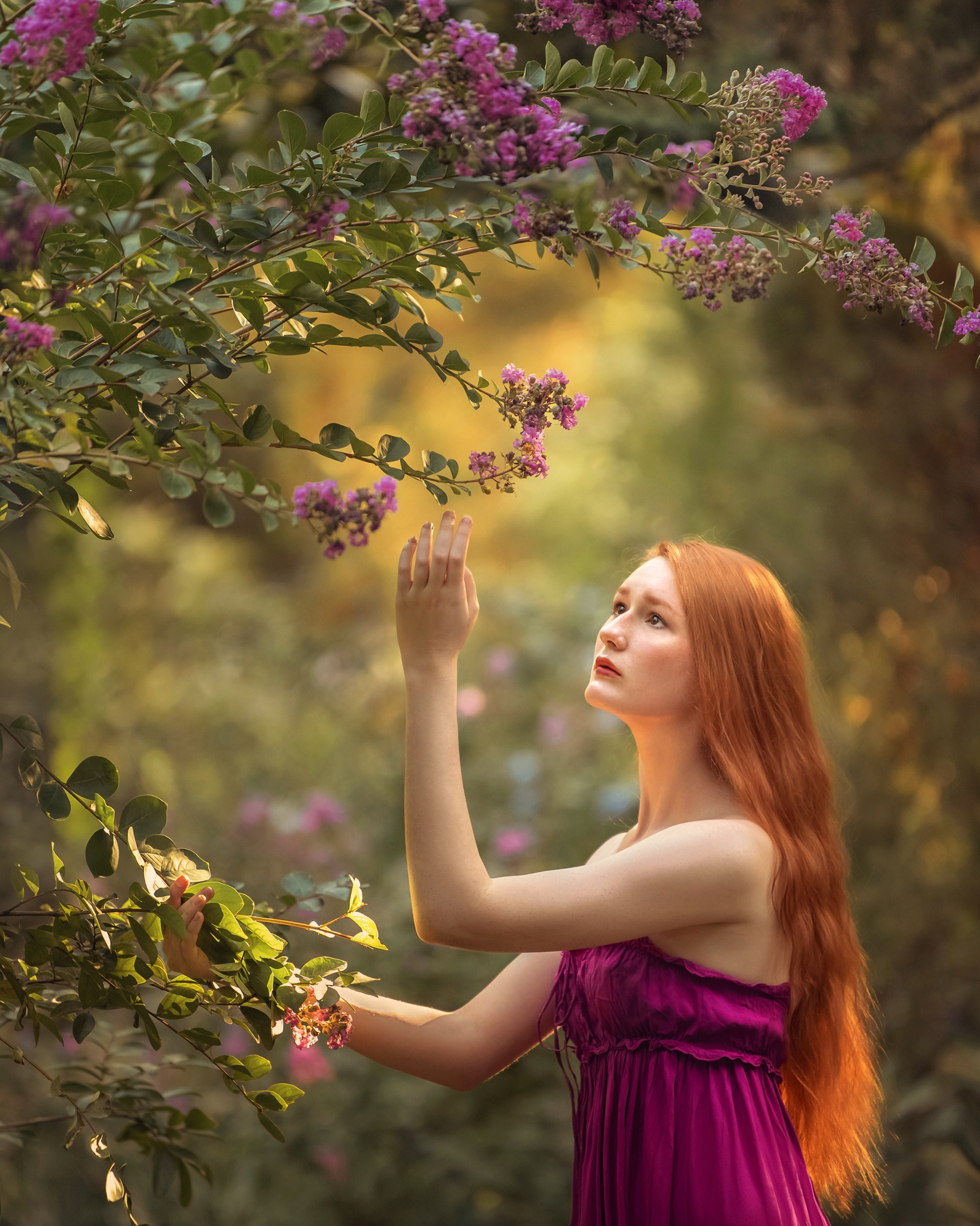 Художественная фотография. Главная