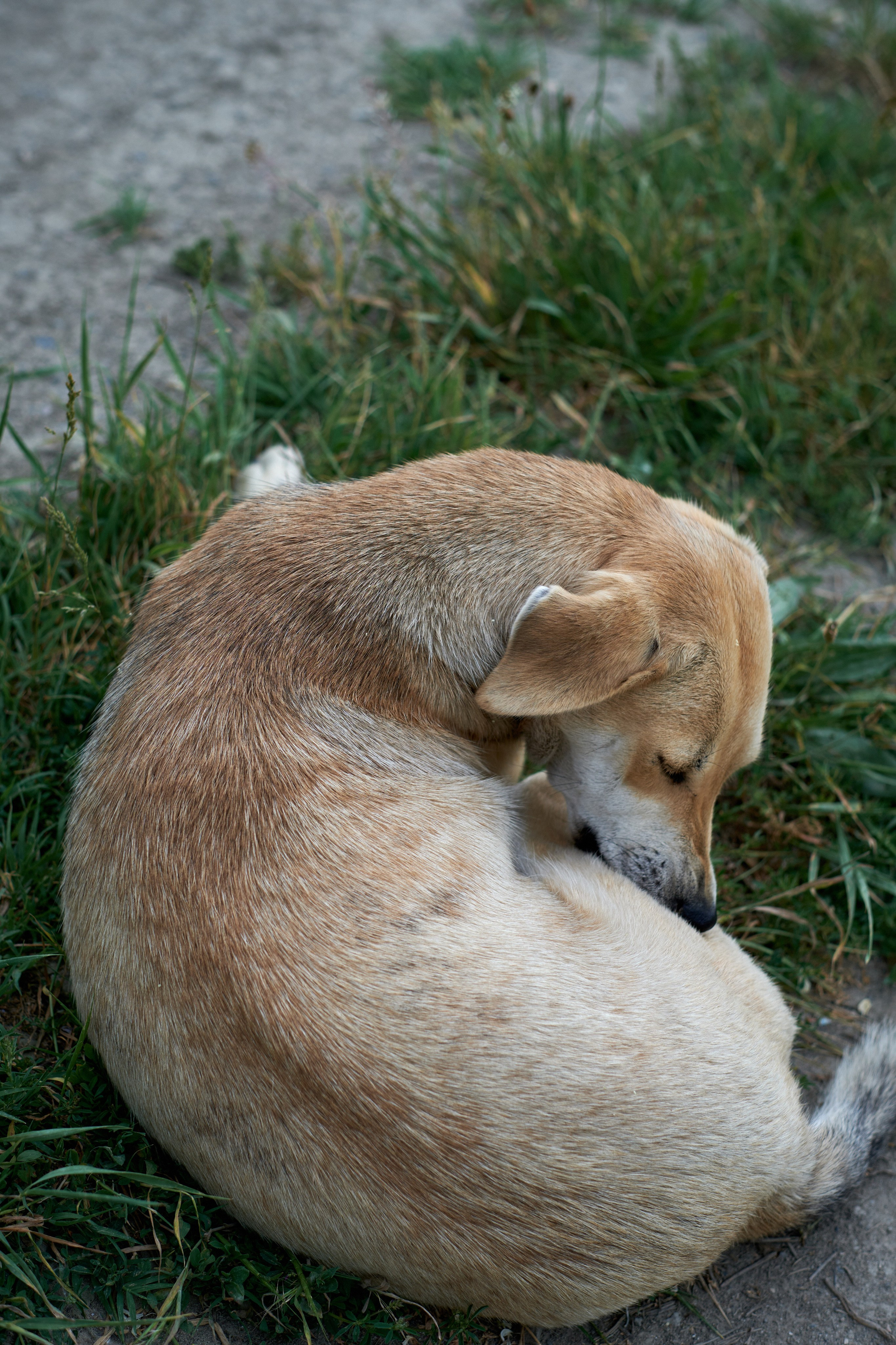 Дружба. Кристина — портретный фотограф