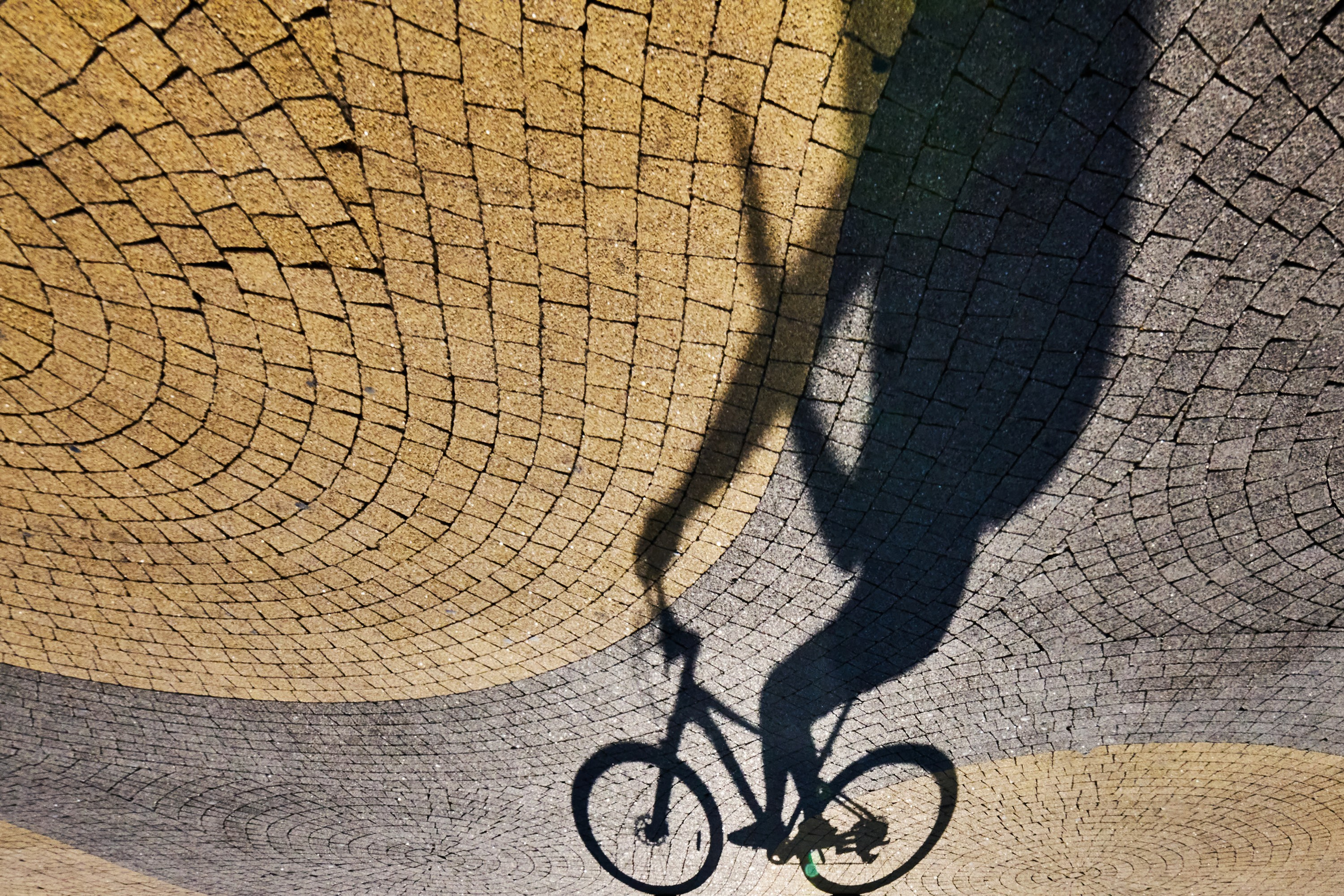 Жизнь, люди, стрит, вокруг, животные, на улице. Яркие фото на Чёрном море