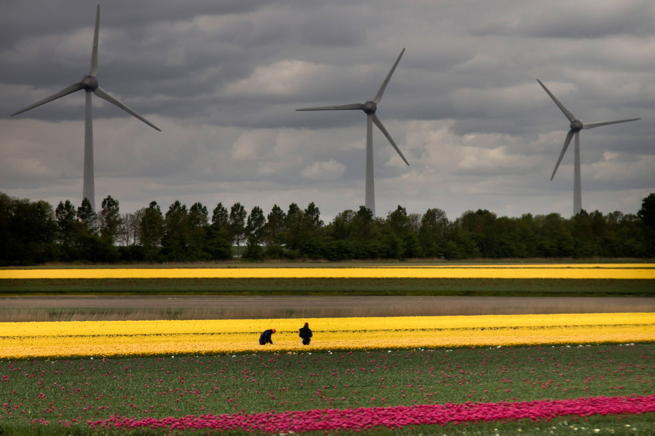 Фото. Фотограф Лагутин Анатолий