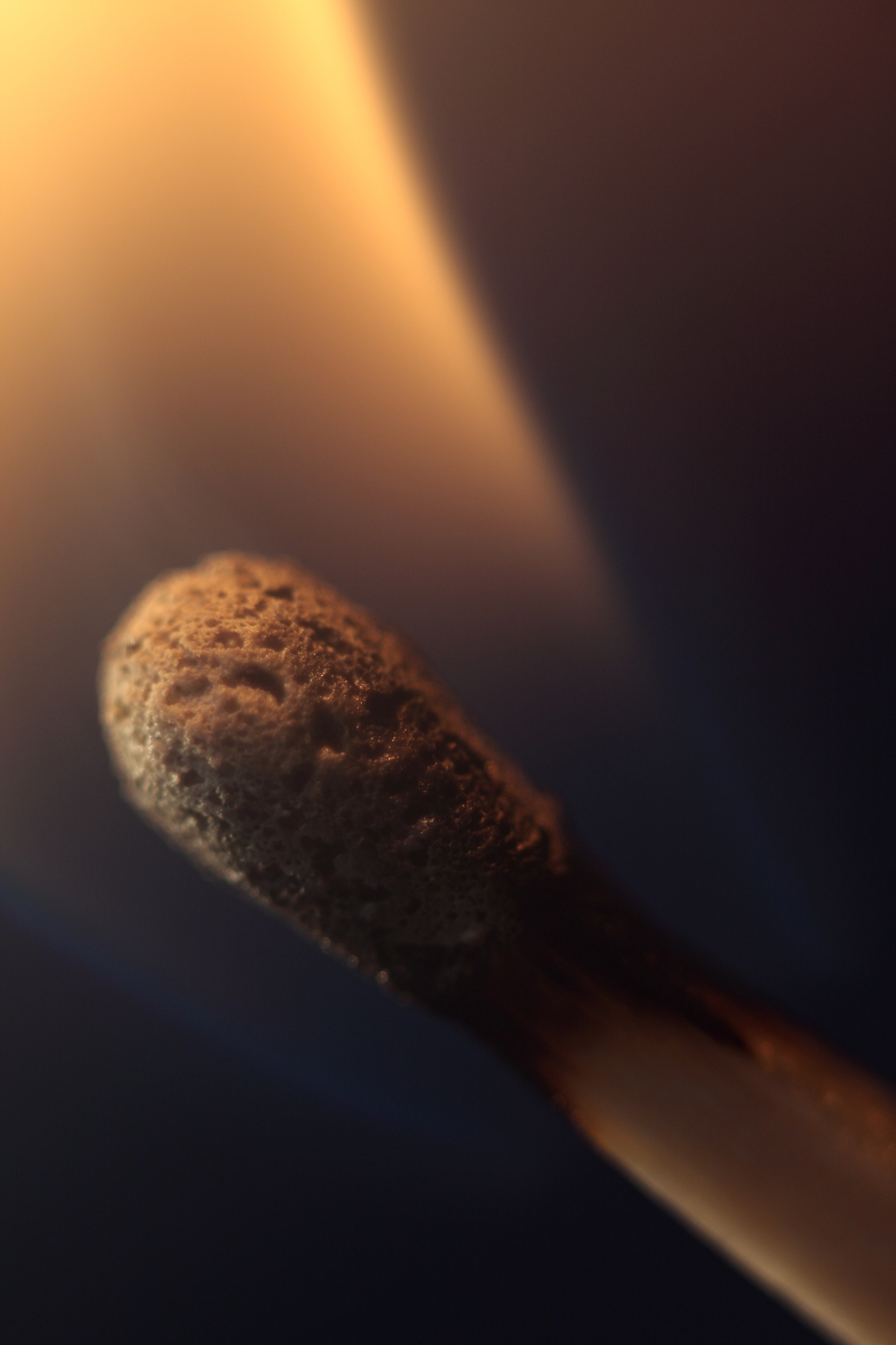 Макро. Фотограф Лагутин Анатолий