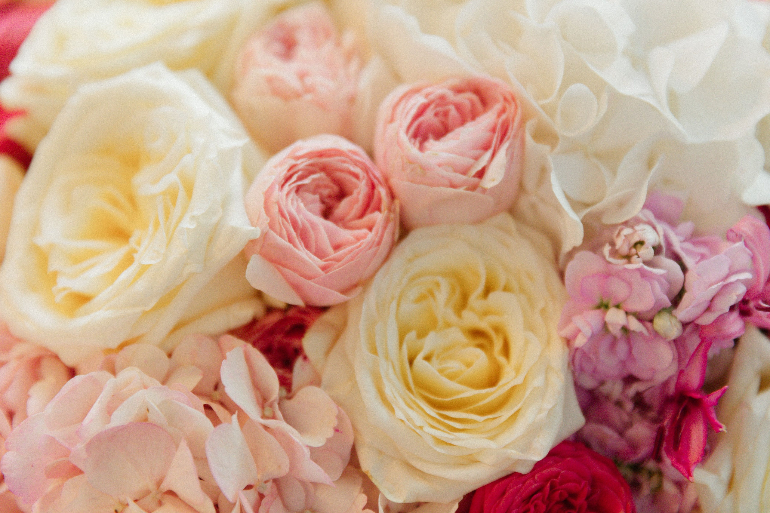 День Рождения Стефы. Татьяна Фомичева. Репортажный и светский фотограф в Москве