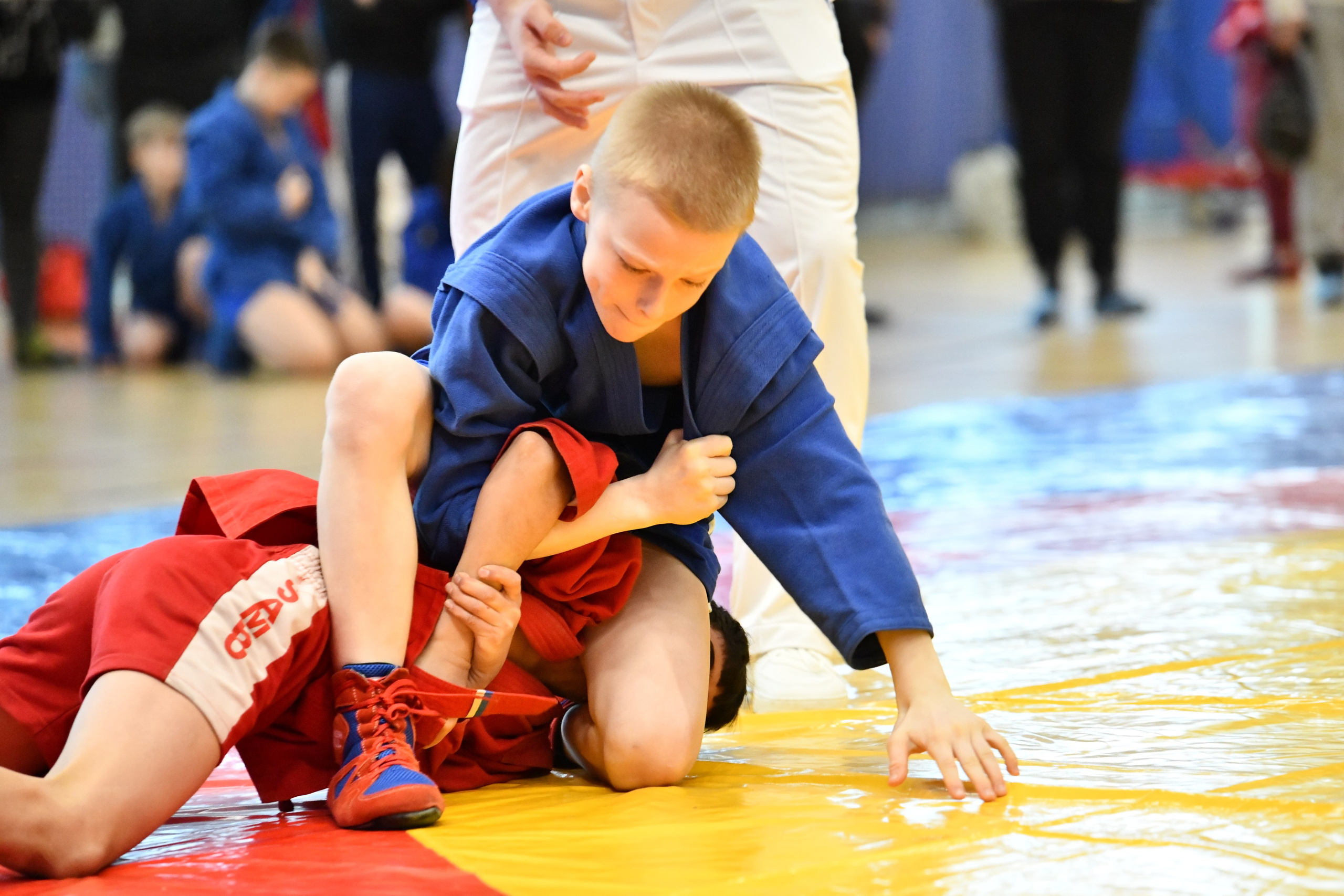 Самбо. Соревнования памяти А. А. Абрамова. Фото детских спортивных мероприятий и всякое интересное через объектив