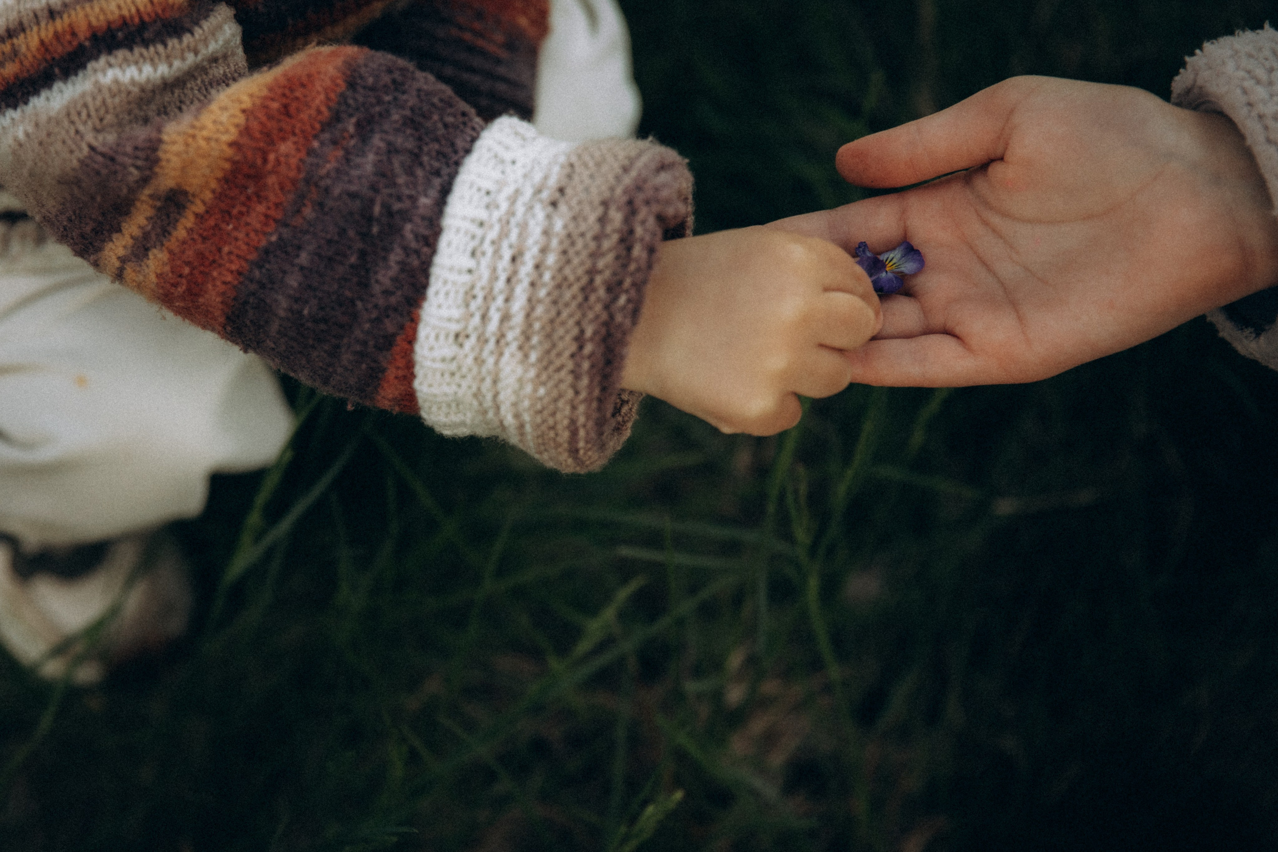 УДачная история. Фотограф  Челябинск Варвара Шарапова