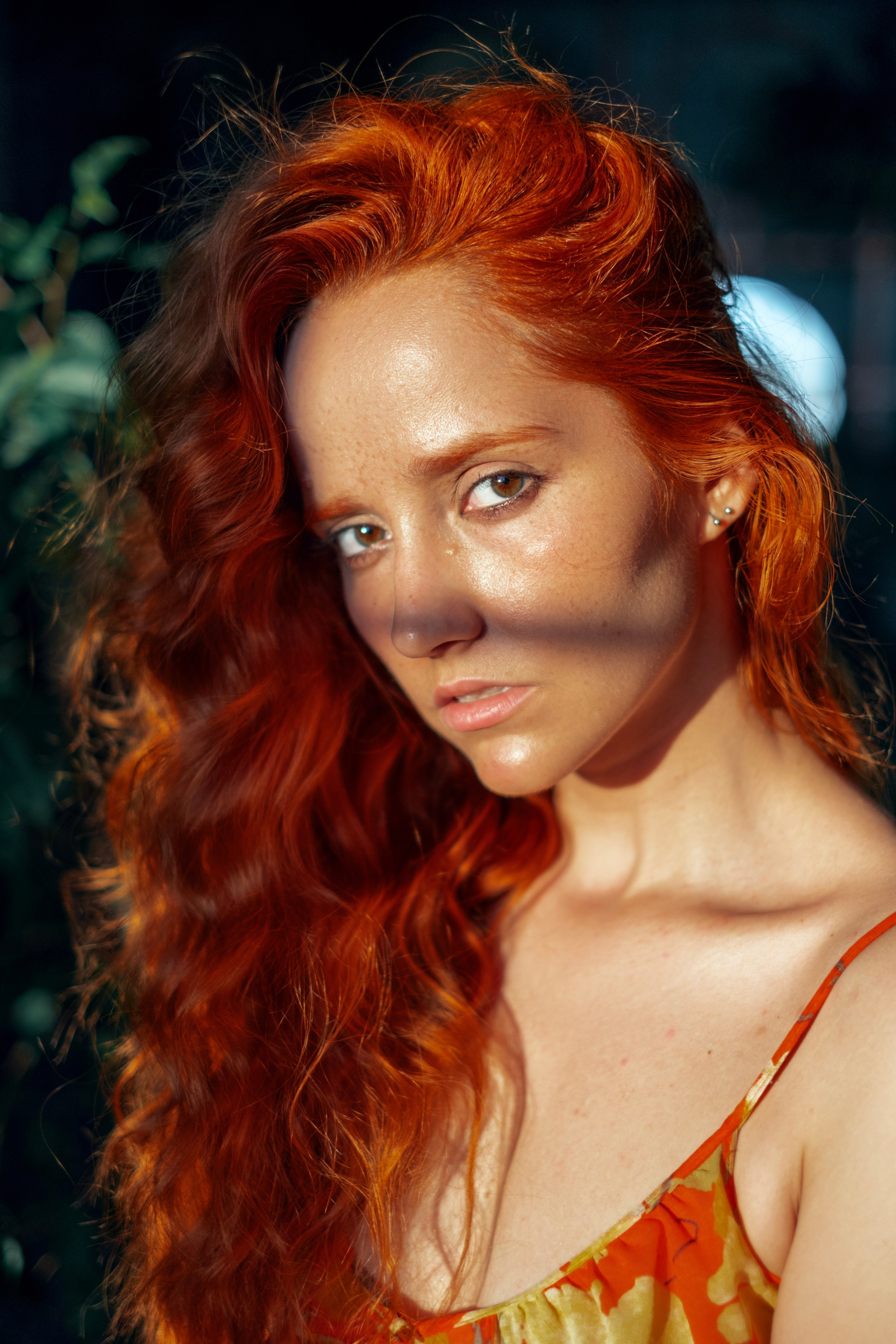 Garden. Andrey Bogdanov Photo