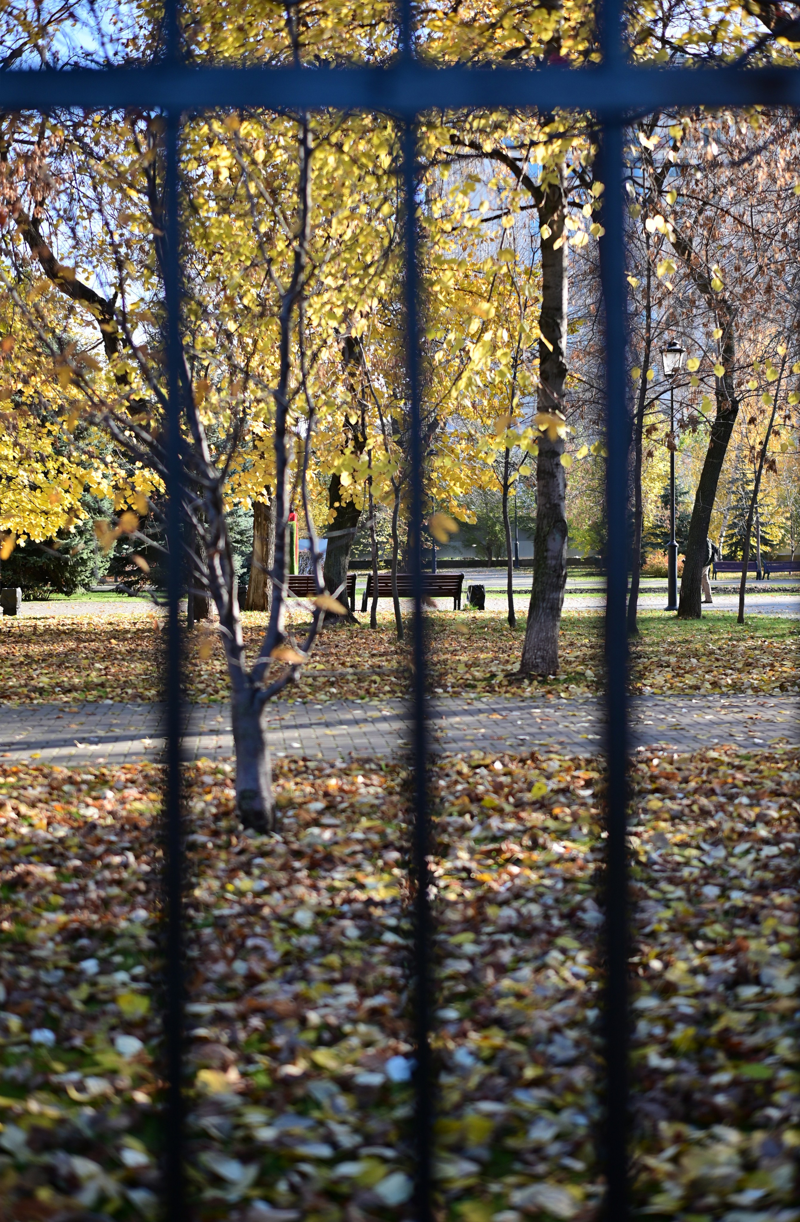 Осень в Самаре 2025. Фотосъёмка праздничных мероприятий, портретная съёмка в Самаре, Пётр Бубняев