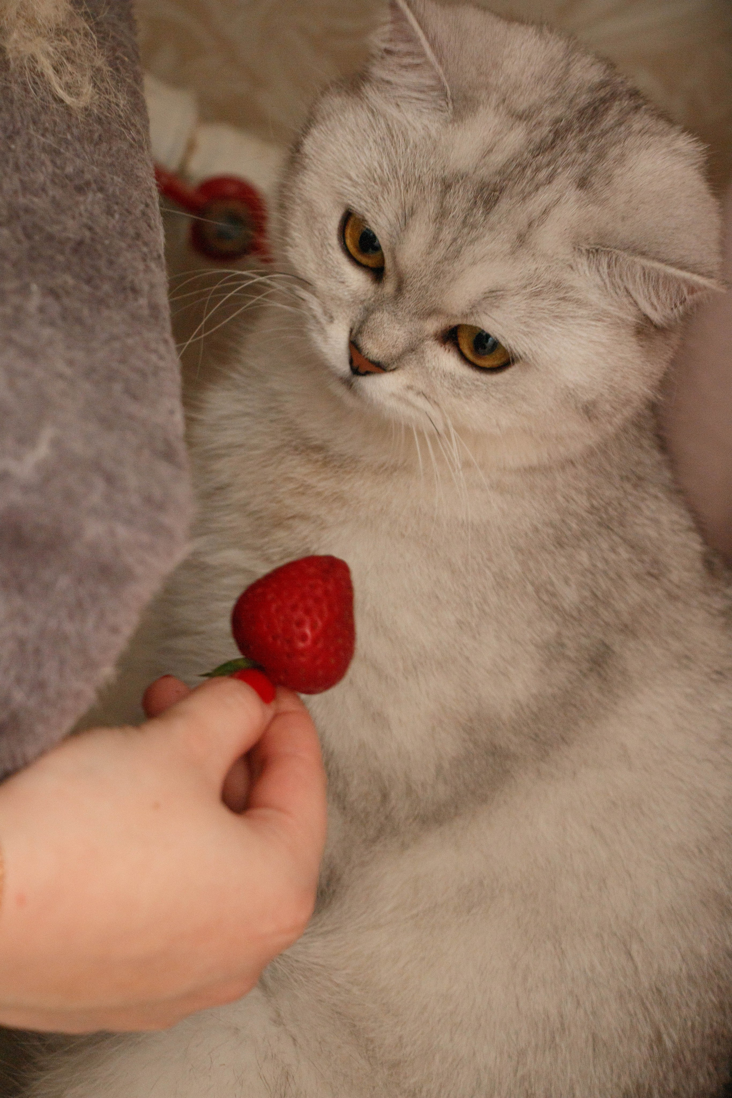 NASTYA & KITTI. Бережно сохраняю ваши чувства и истории на своих фотографиях