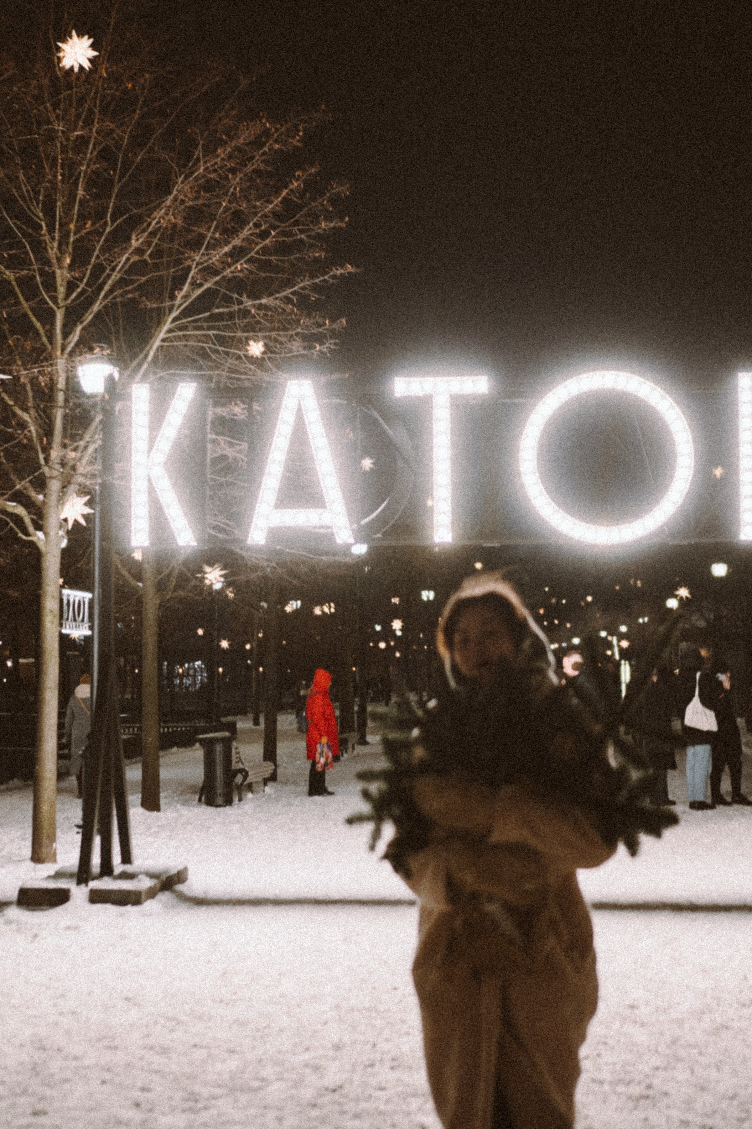 Зимняя сказка в Новой Голандии. Профессиональный фотограф, Санкт-Петербург — Виктория Богомолова