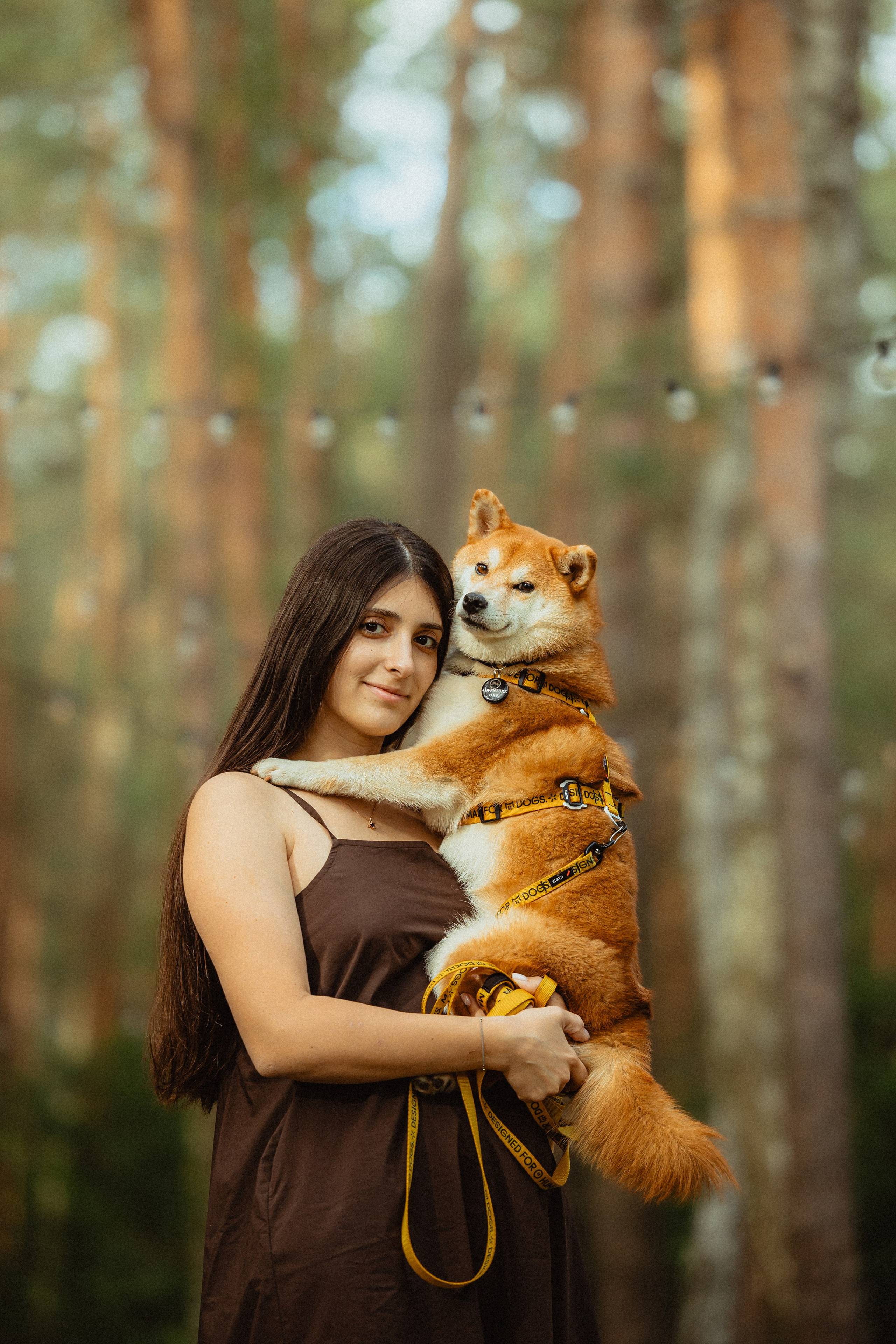 Выездной дог-тренинг от школы «Шерсть имею»