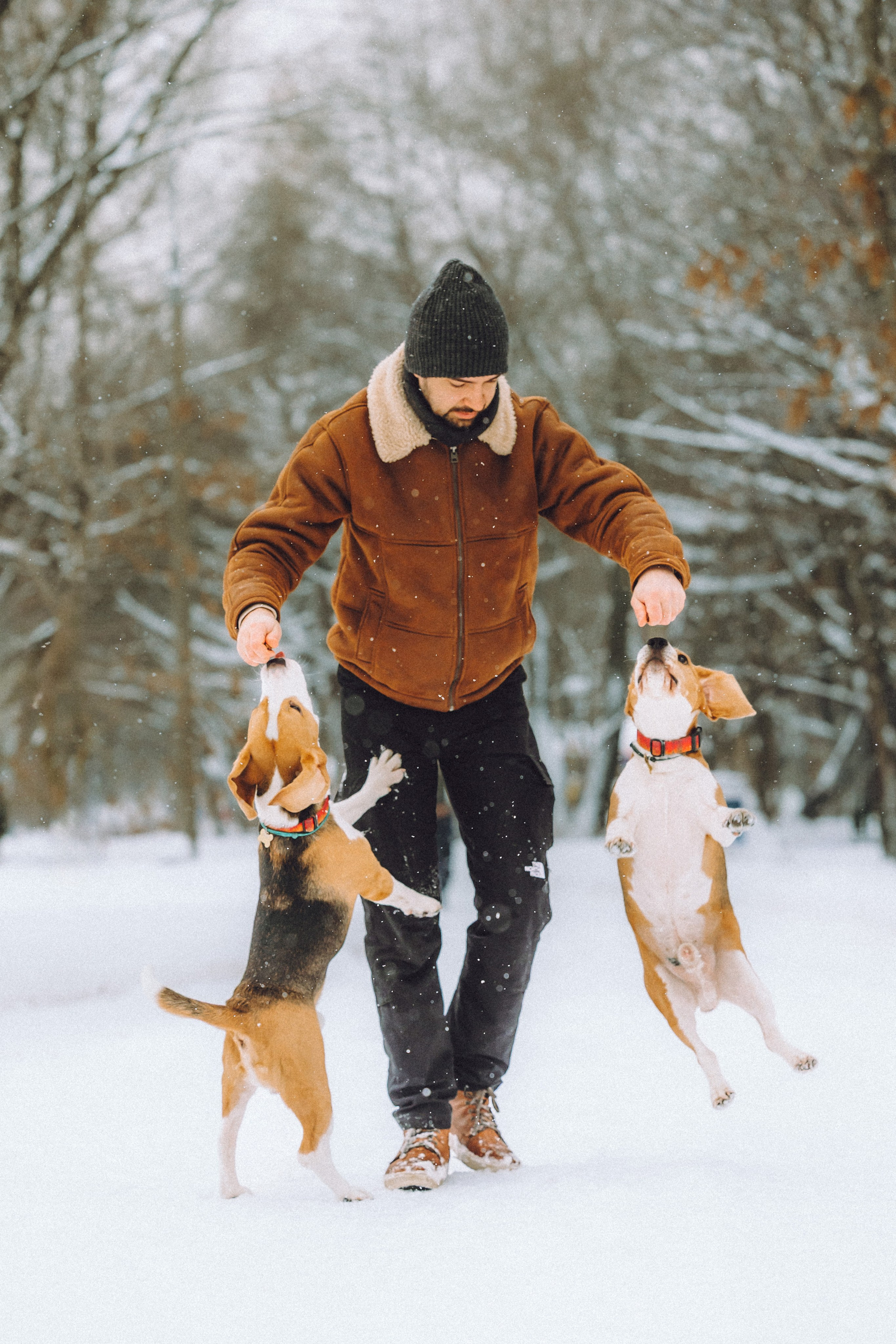 Роман, Портер и Коррес