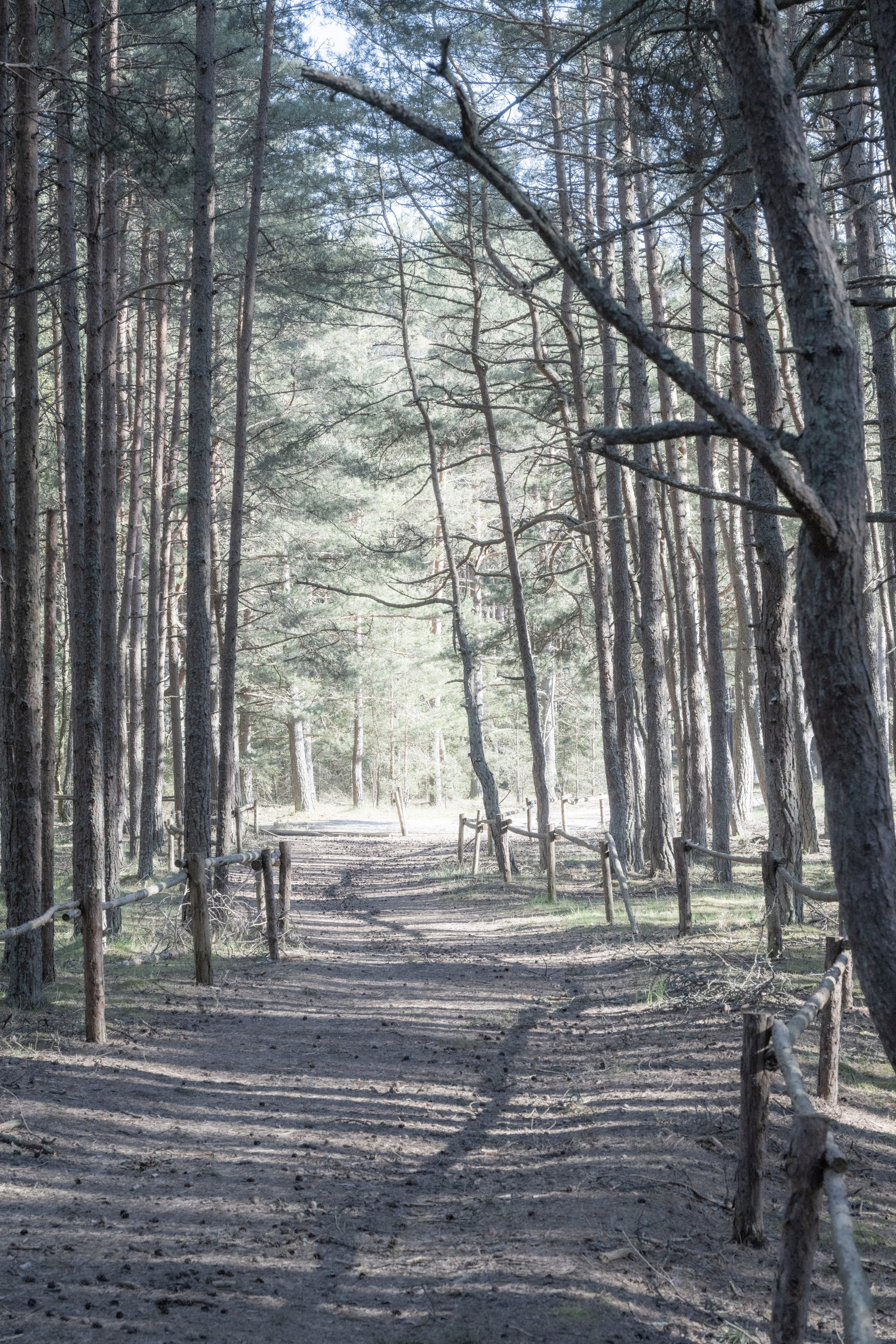 Калининград