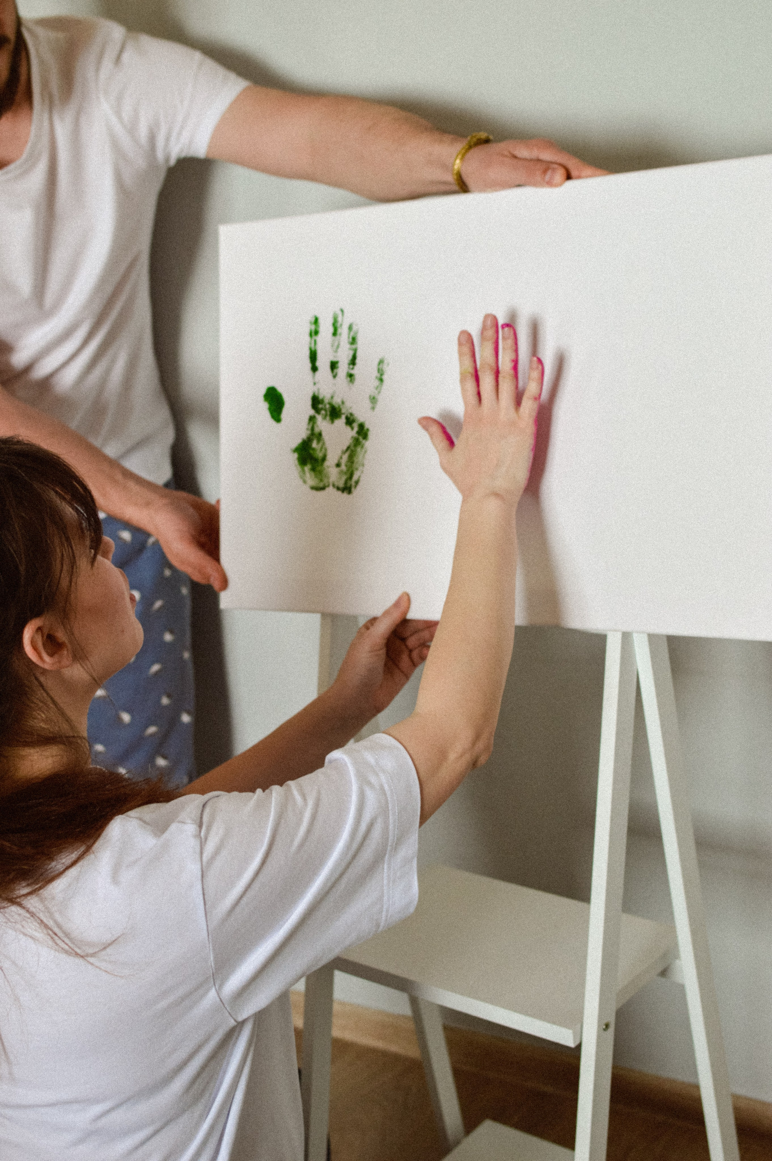 Домашняя история. Meryfotoidea