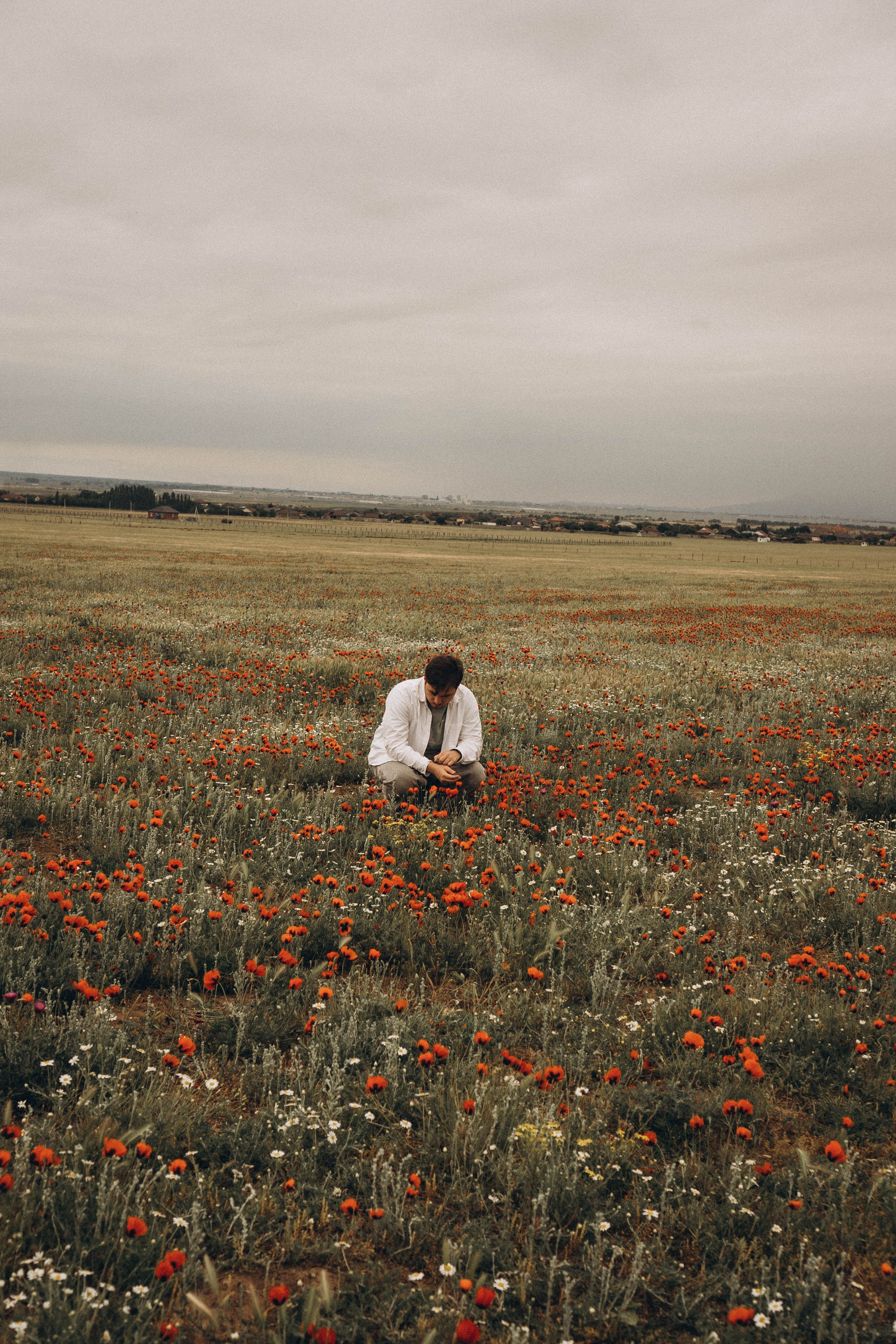 Маки. Профессиональный фотограф, Санкт-Петербург — Виктория Богомолова