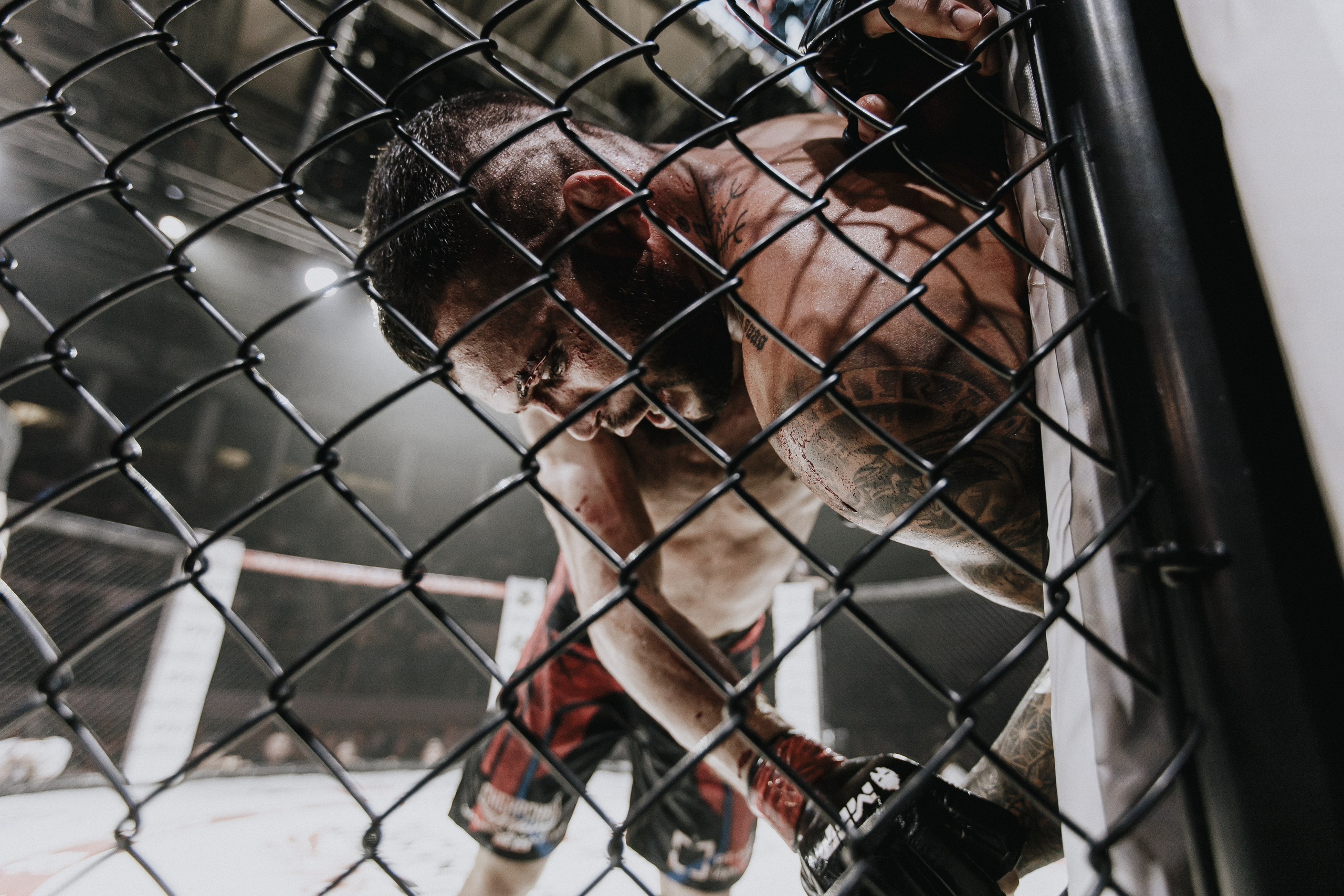 MFP246 МАКСИМ БУТОРИН VS МАРСИО БРЕНО. Фотограф Иркутск Антипин Сергей