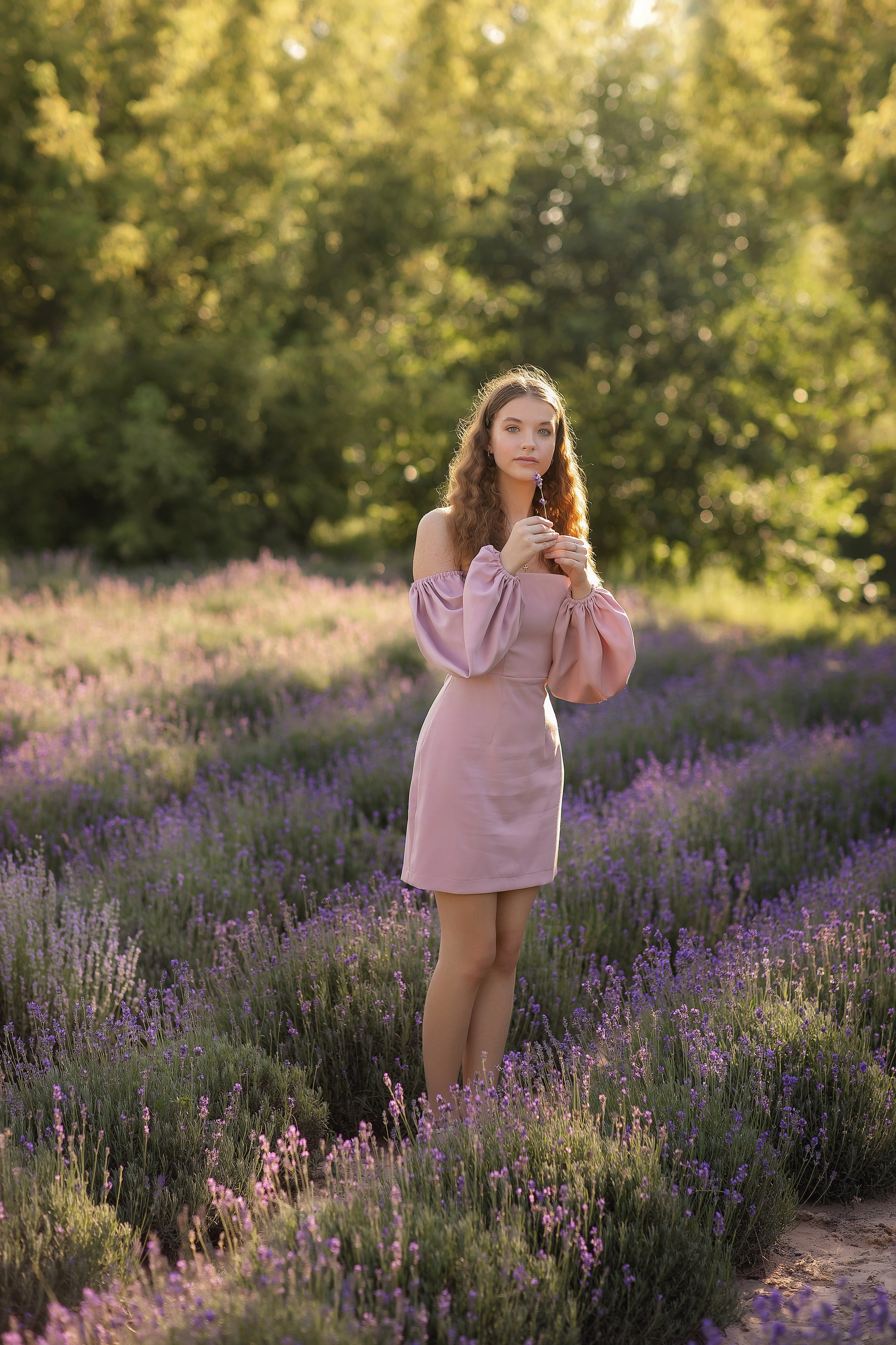 Семейная Лаванда. Фотограф на крещение и венчание