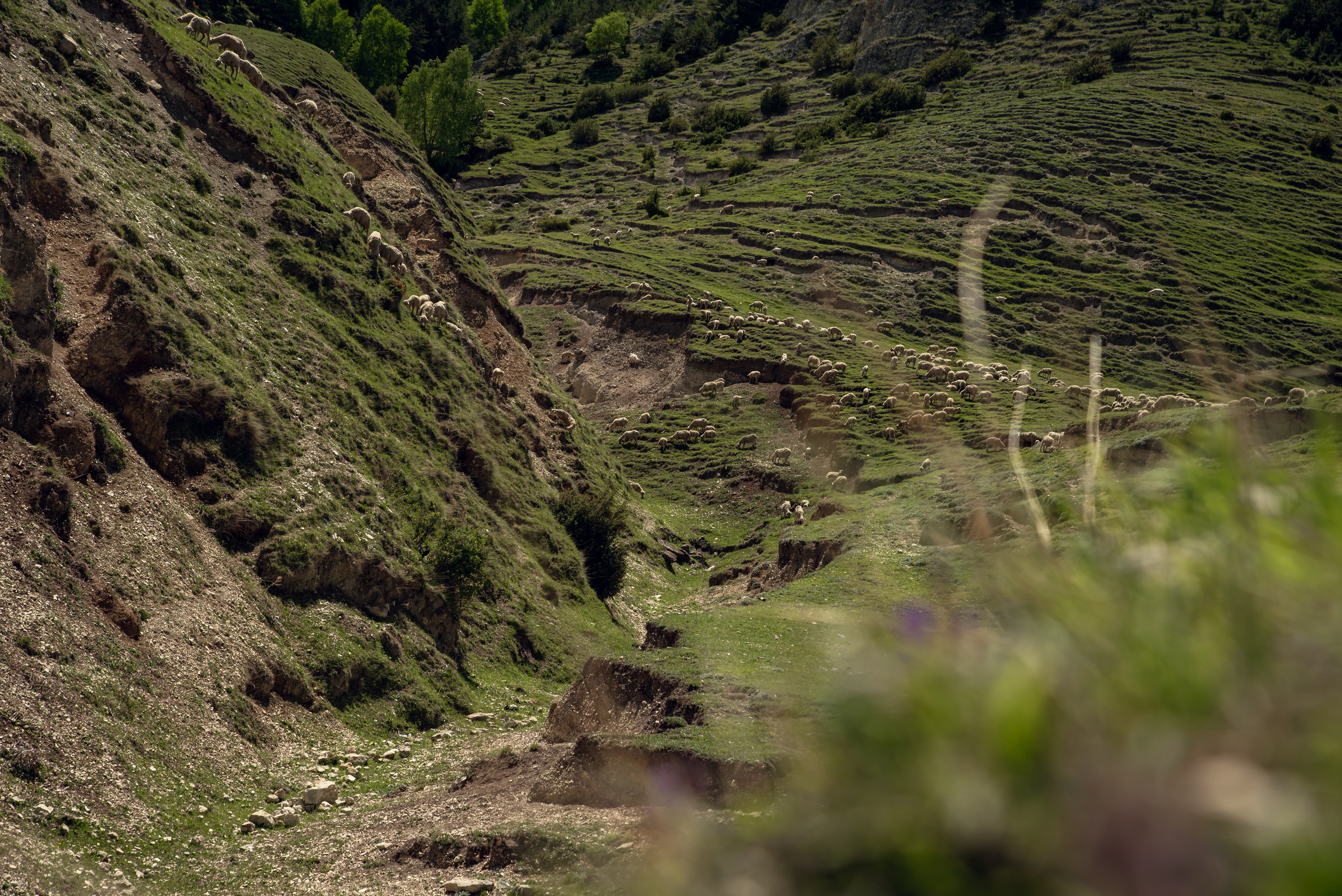 Дагестан. Фотограф Крещение Венчание Москва