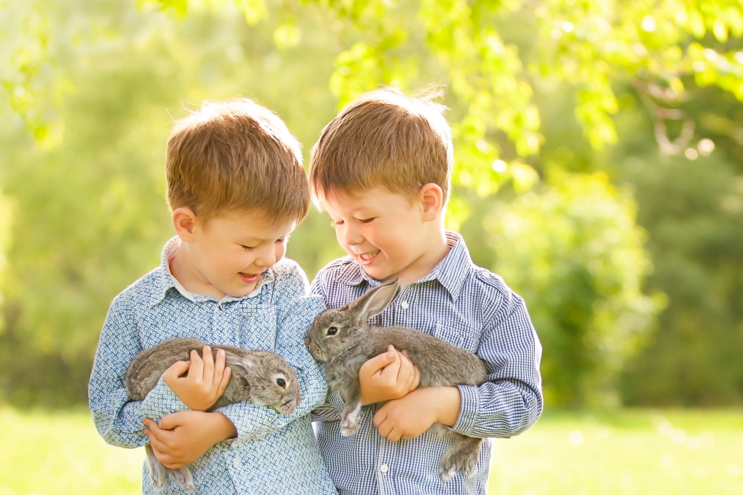 Животные. Семейный и детский фотограф во Владивостоке Ольга Потылицына