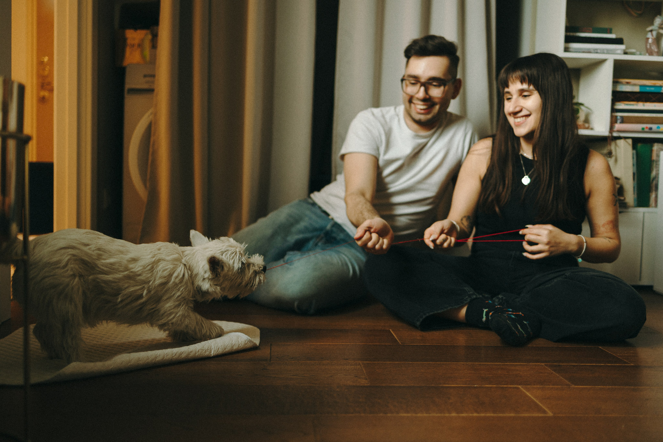 Снежуля, Мари и Саша. Фотограф анималист Анастасия Пикей