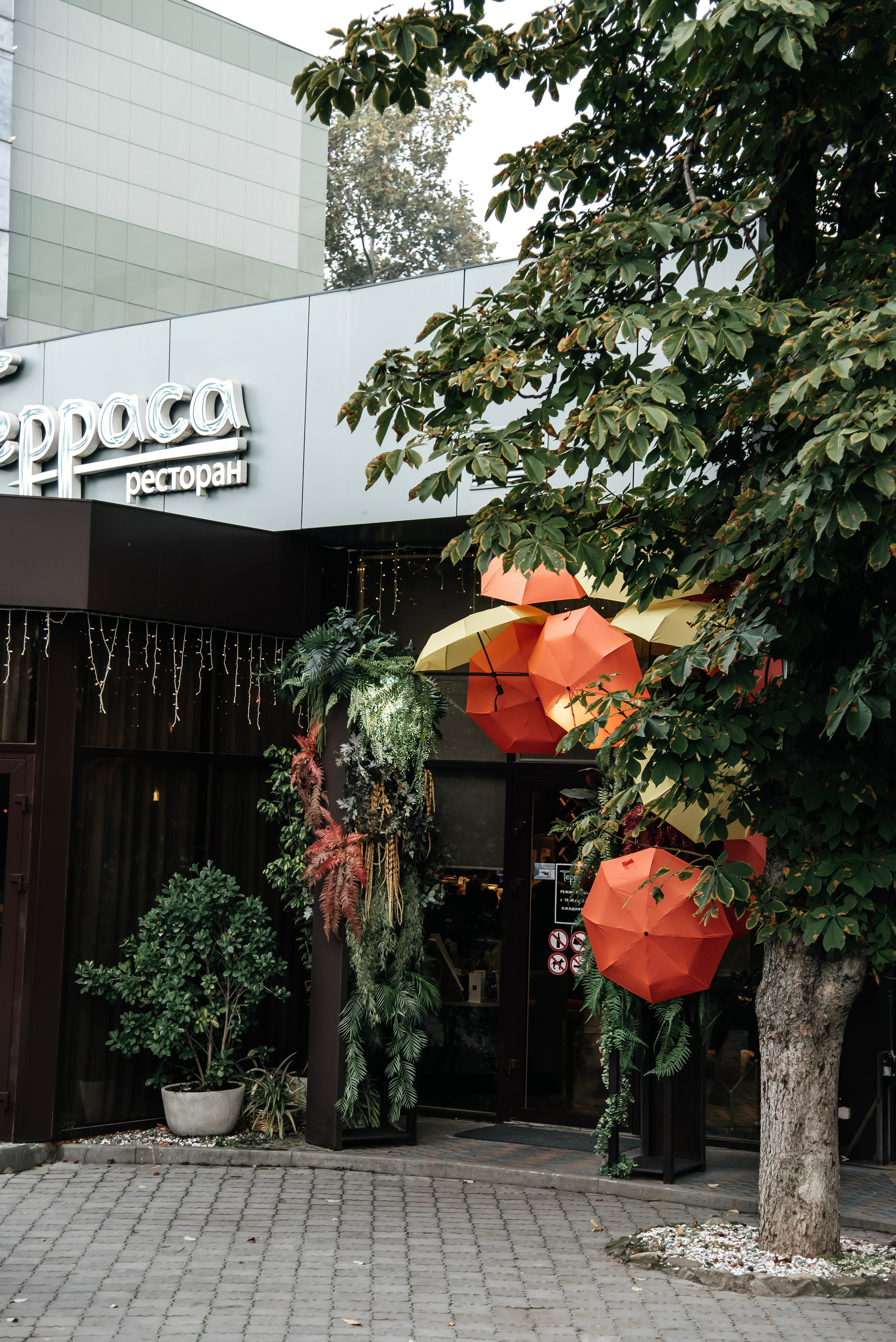 В самое сердце. Виталий Москальцов