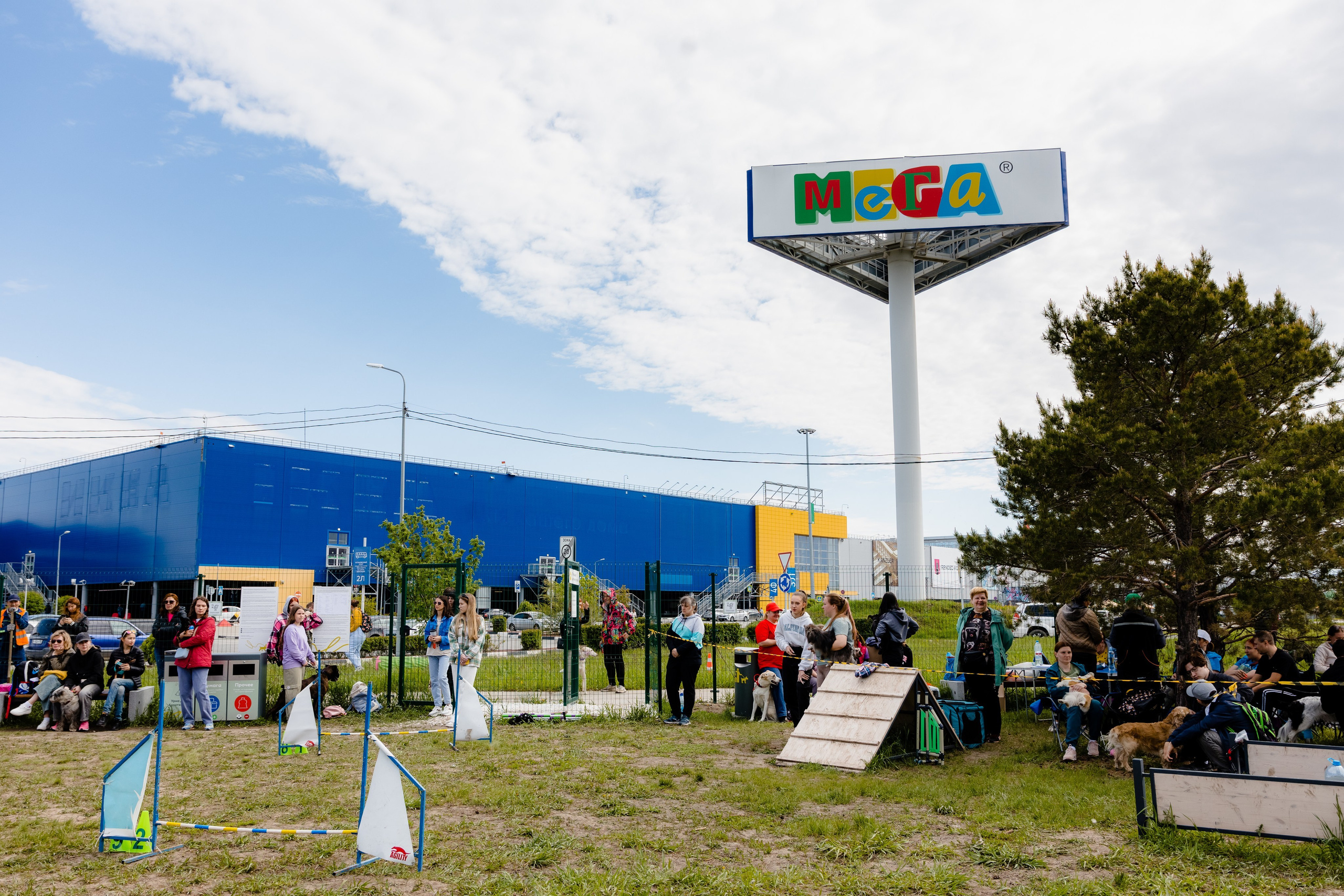 МЕГА | Фестиваль. Свадебный и репортажный фотограф в Омске. Червоткин Никита