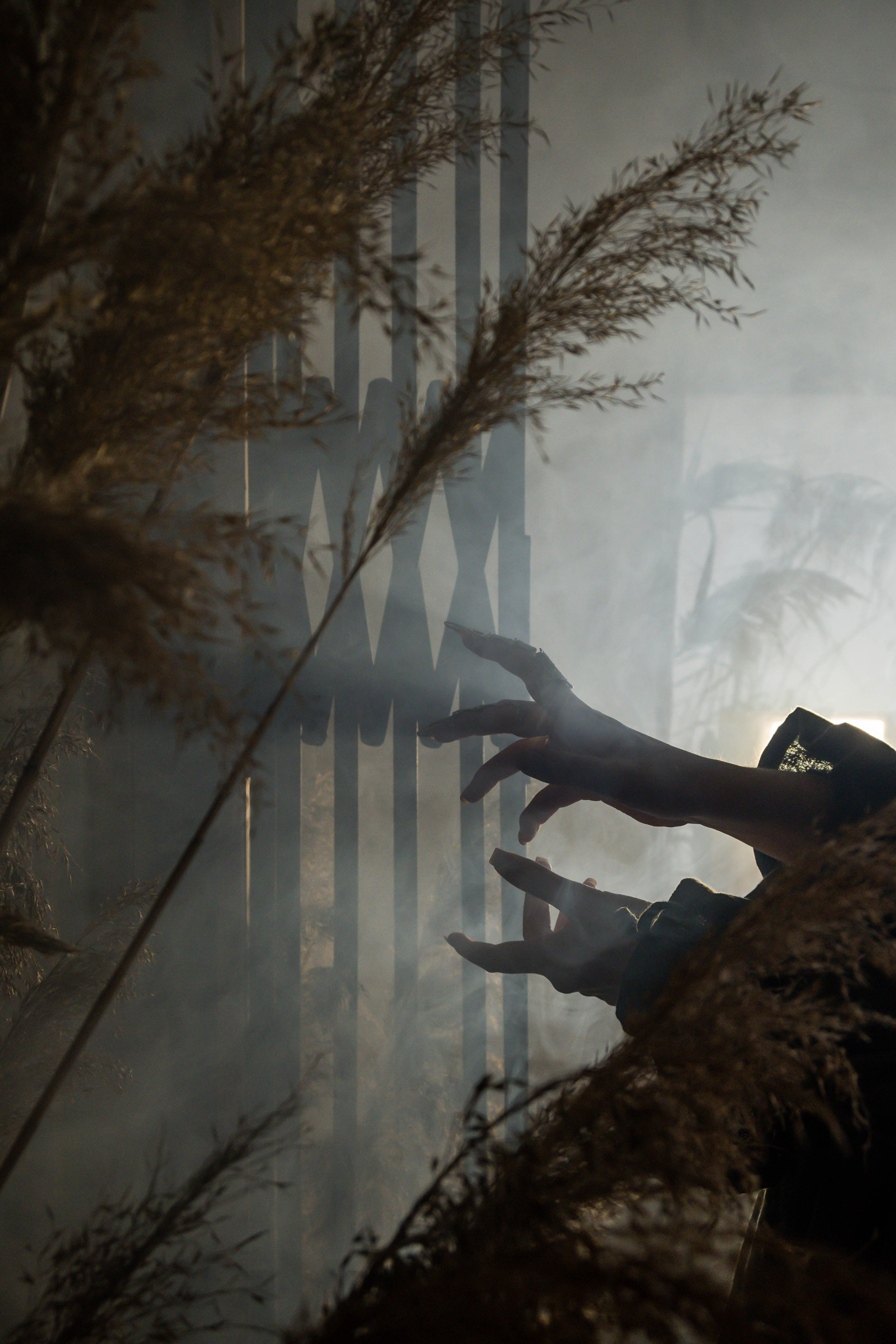 Индивидуальная съемка. Фотограф Зареева Маргарита | pearllphoto