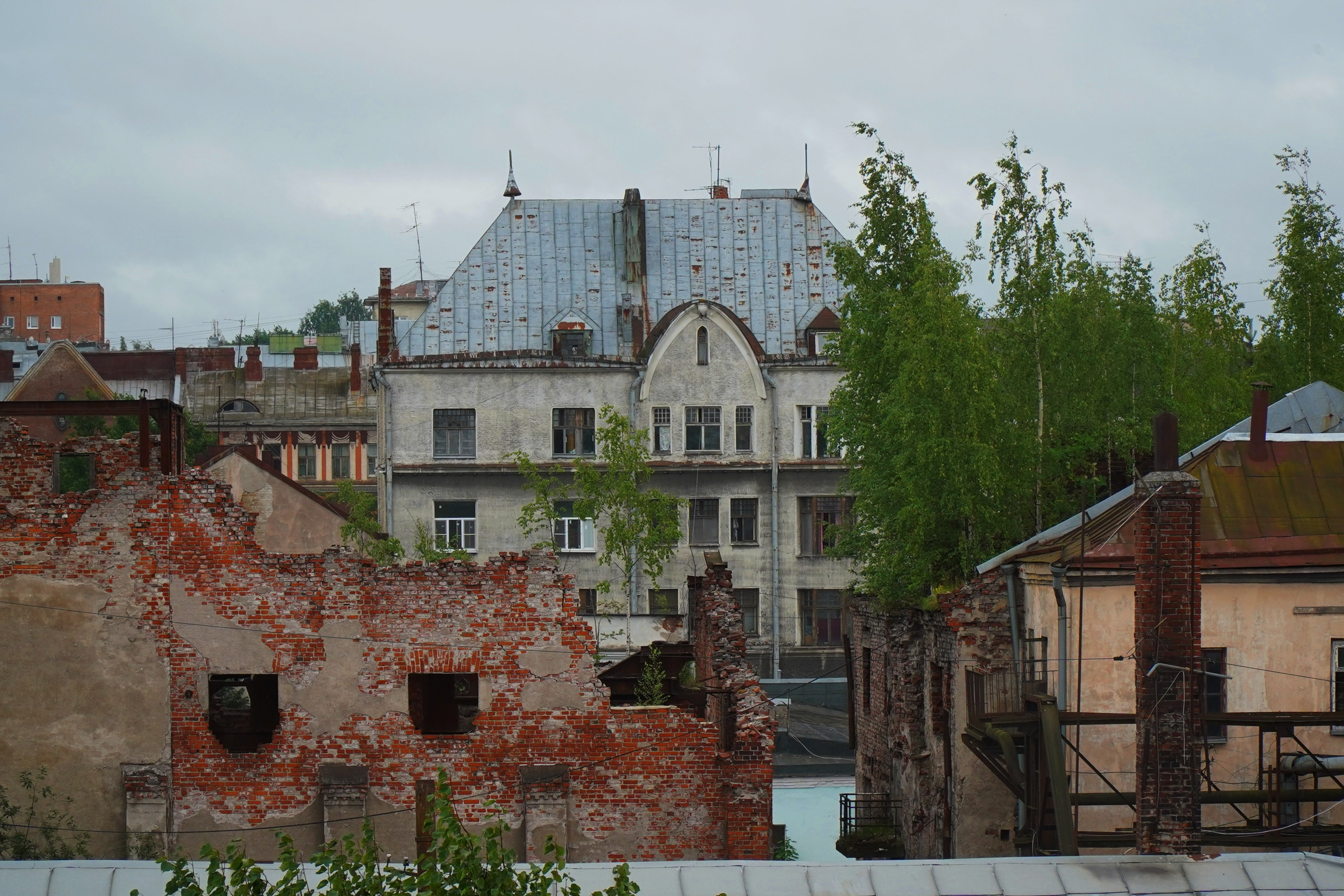 ВЫБОРГ. Июль 2024. Фотограф Наталья Погодина в г. Обнинске