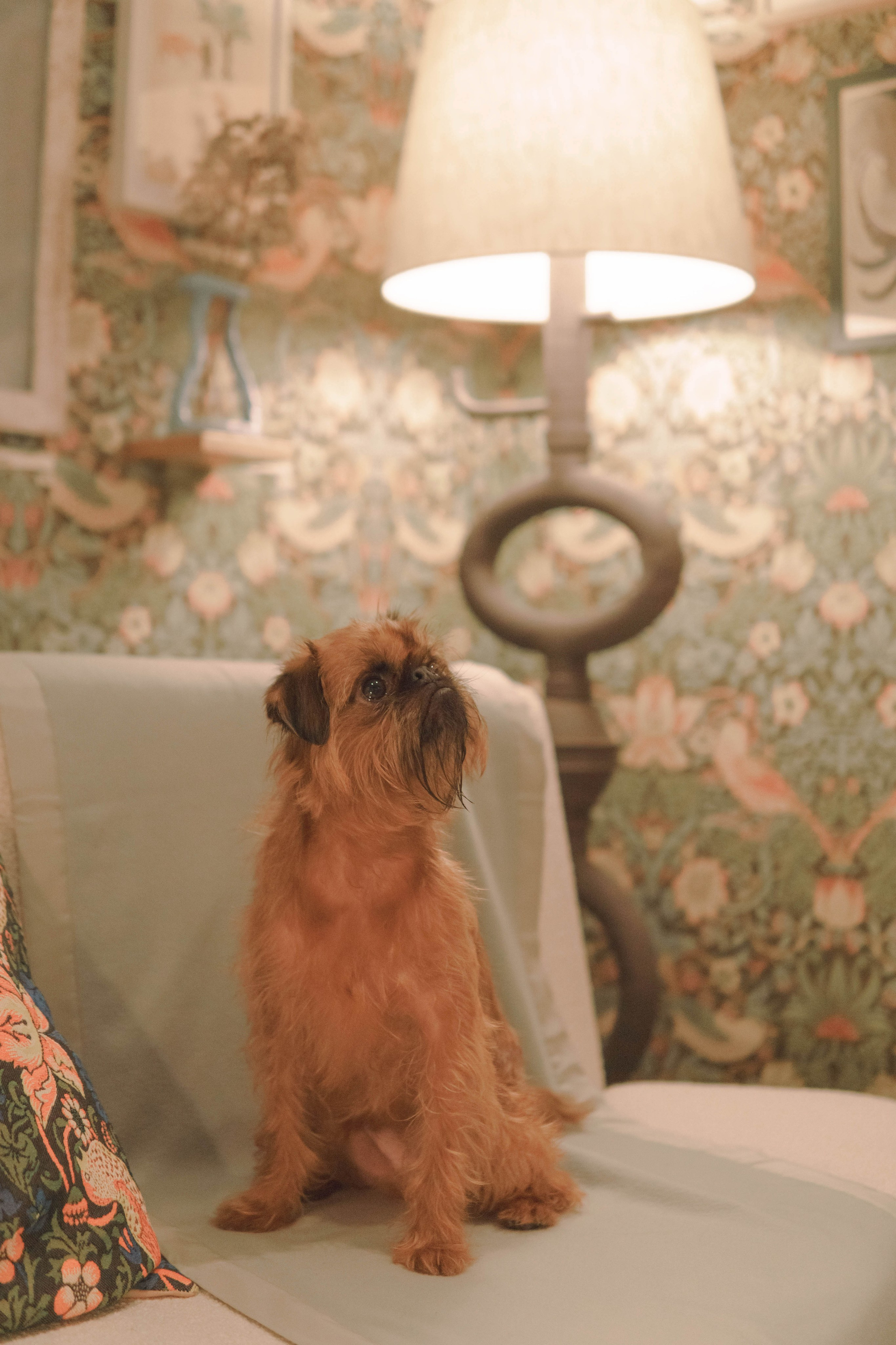 Наташа и Хавьер. Фотограф-анималист Ксения Воробьева, Москва