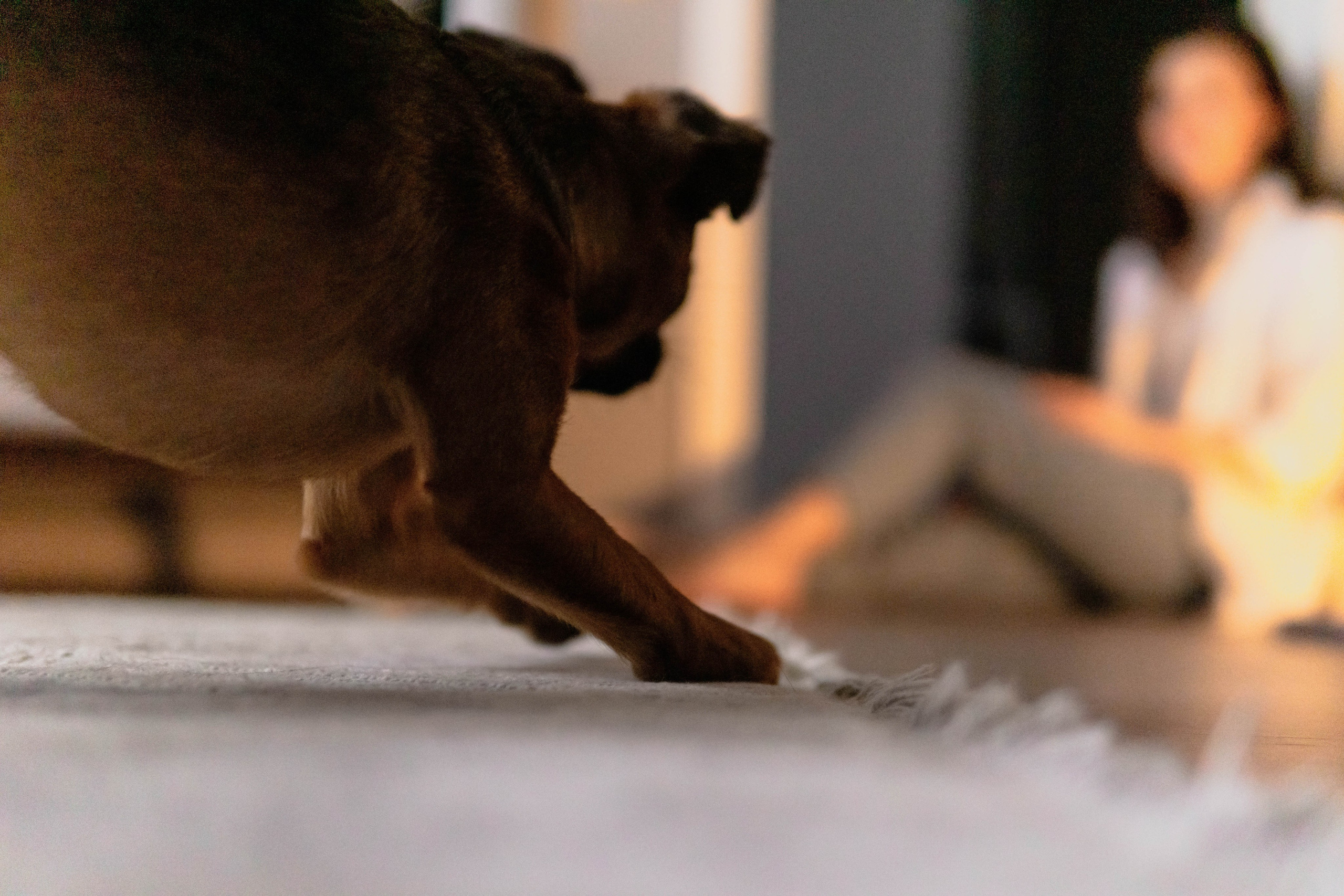 Надя и Ефим. Фотограф-анималист Ксения Воробьева, Москва