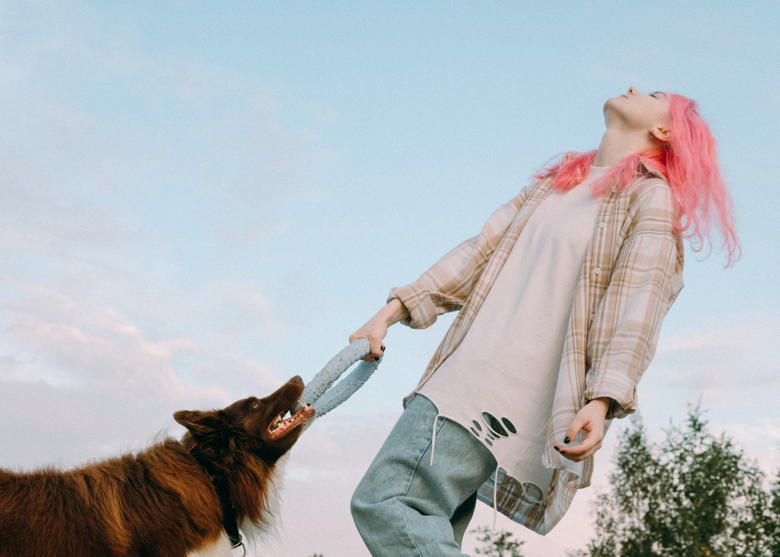 Виолетта, Лила и Питер. Фотограф-анималист Ксения Воробьева, Москва